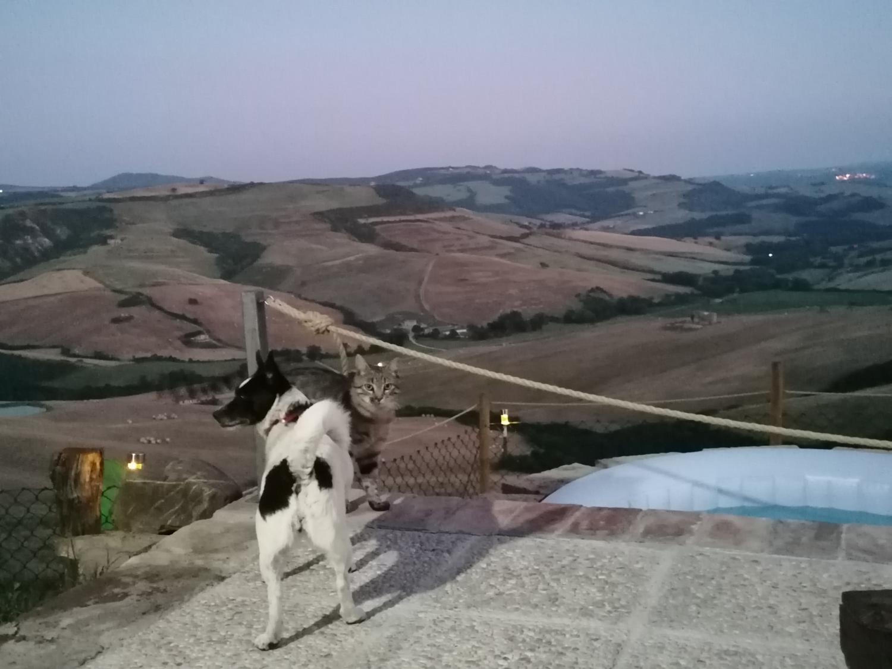 Agriturismo Collomici