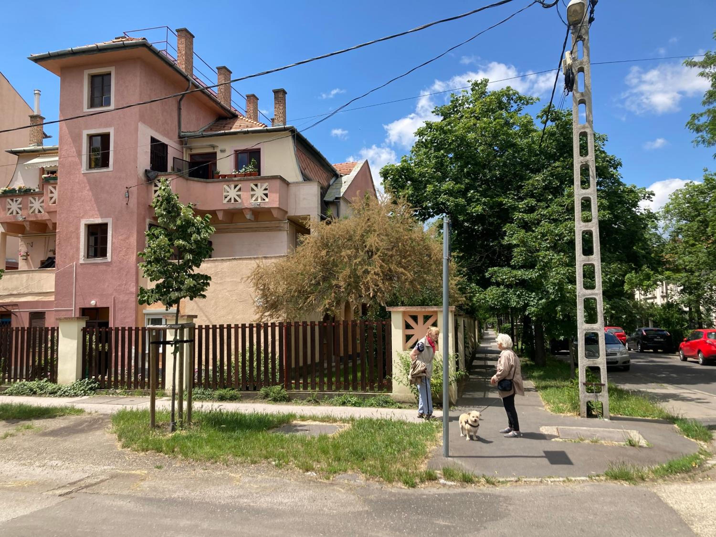 Photo 36