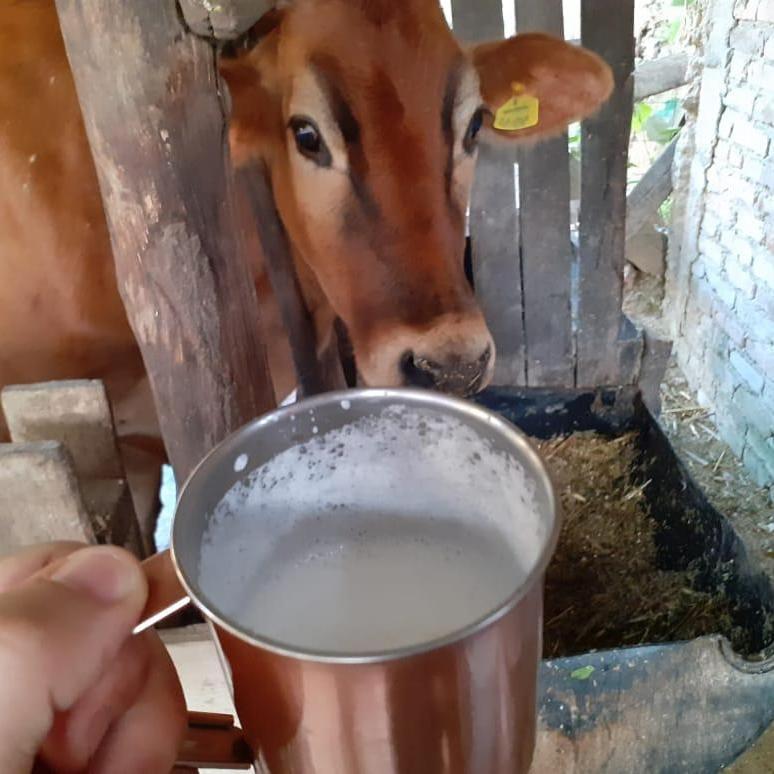 Rancho Pedra do Picú