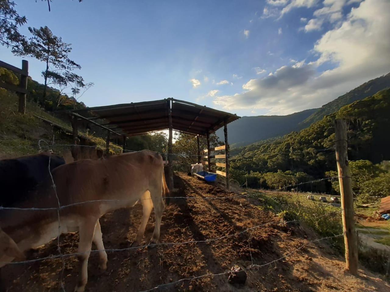Rancho Pedra do Picú