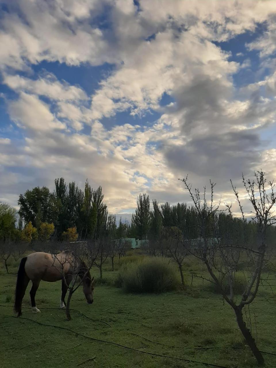 Las Guaras Valle de Uco