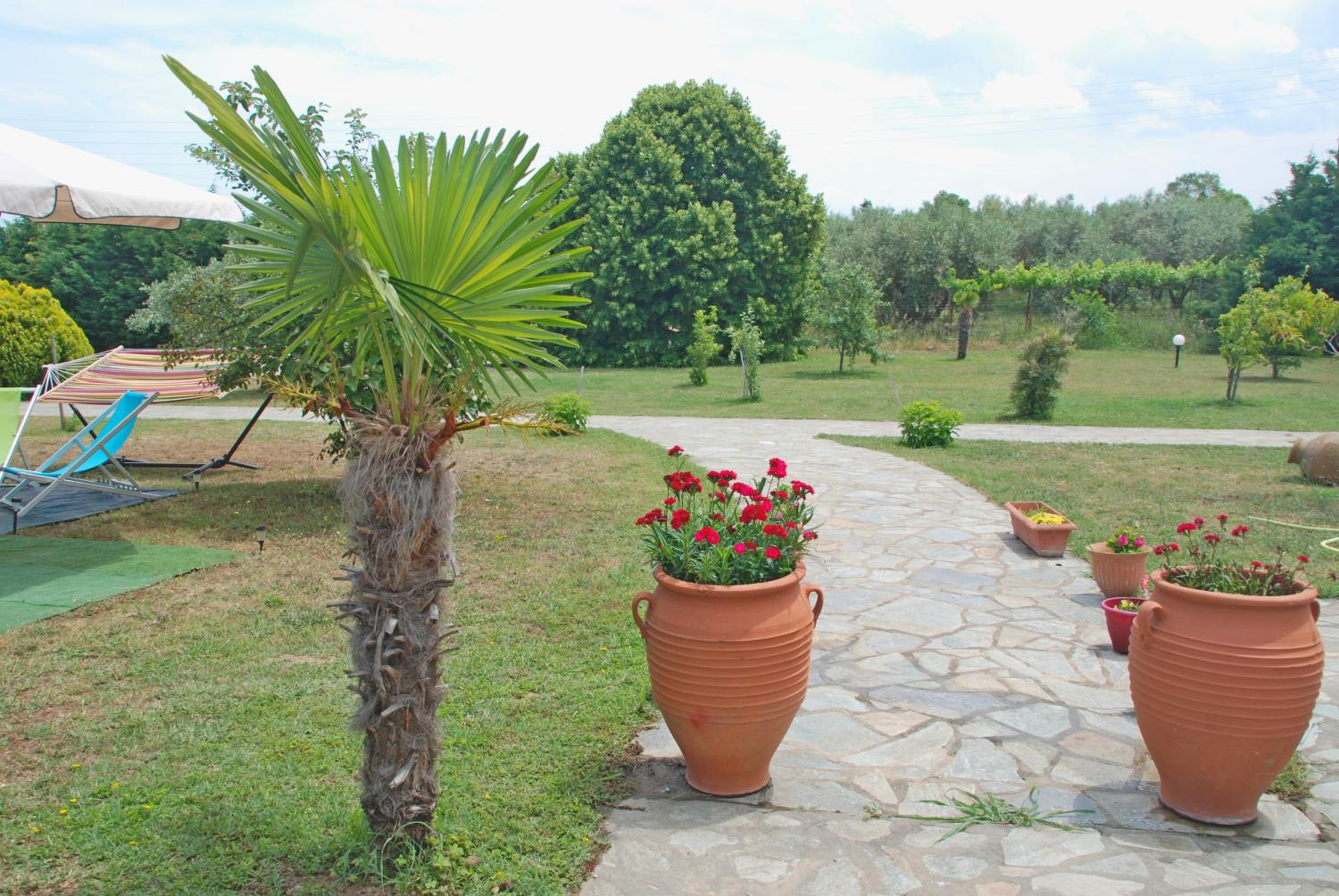 Photo 47