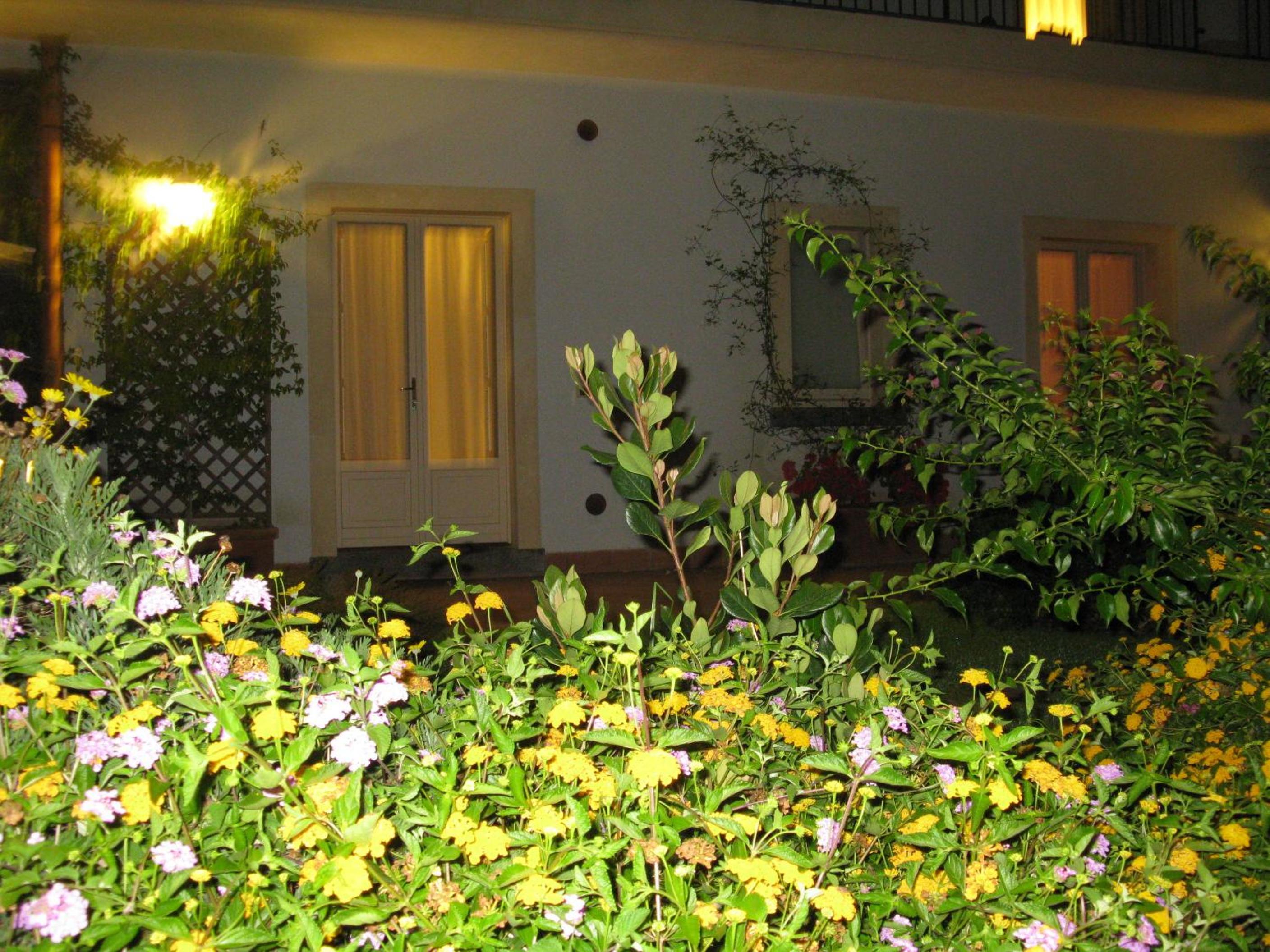 Photo 48