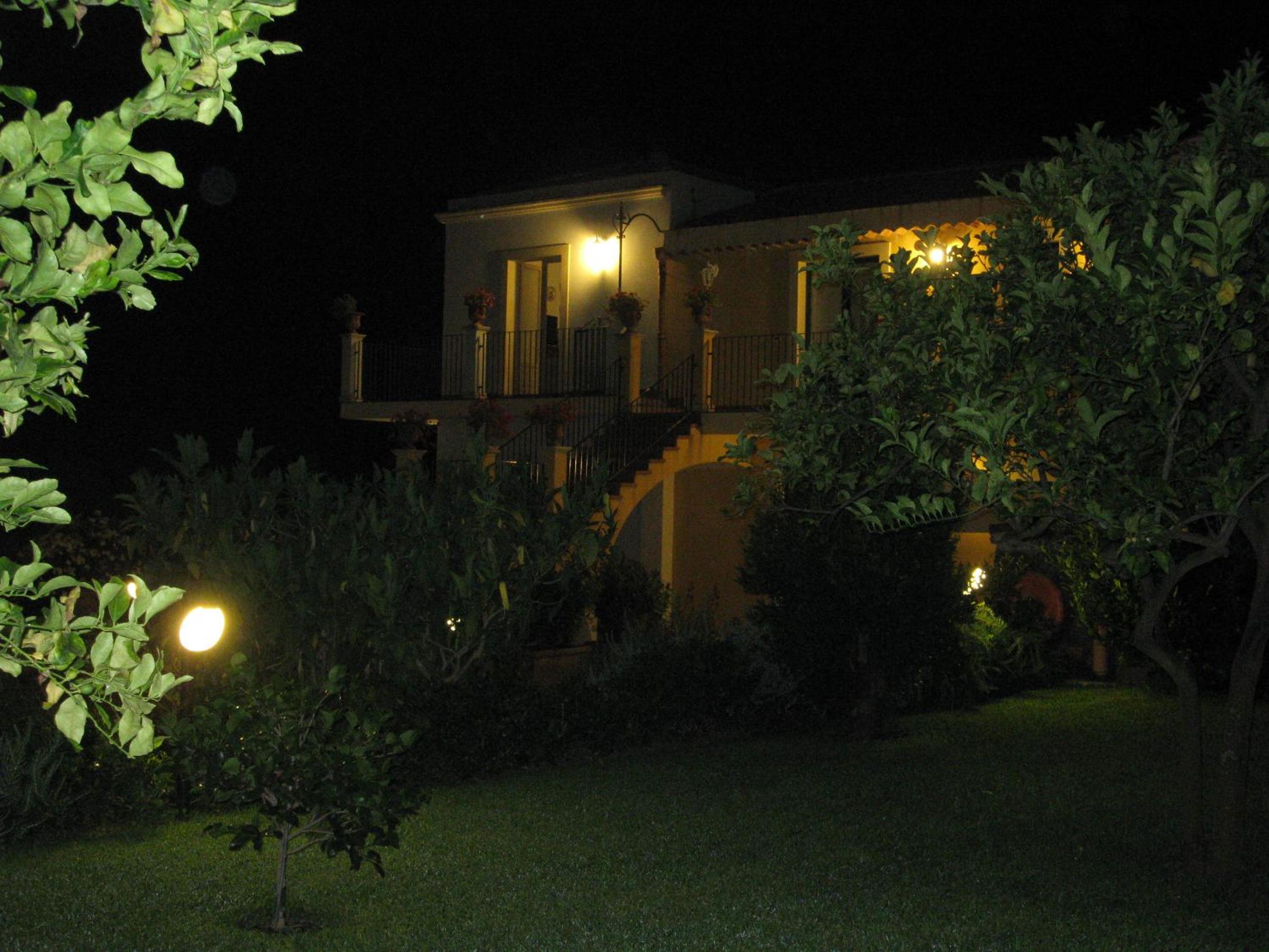 Photo 51