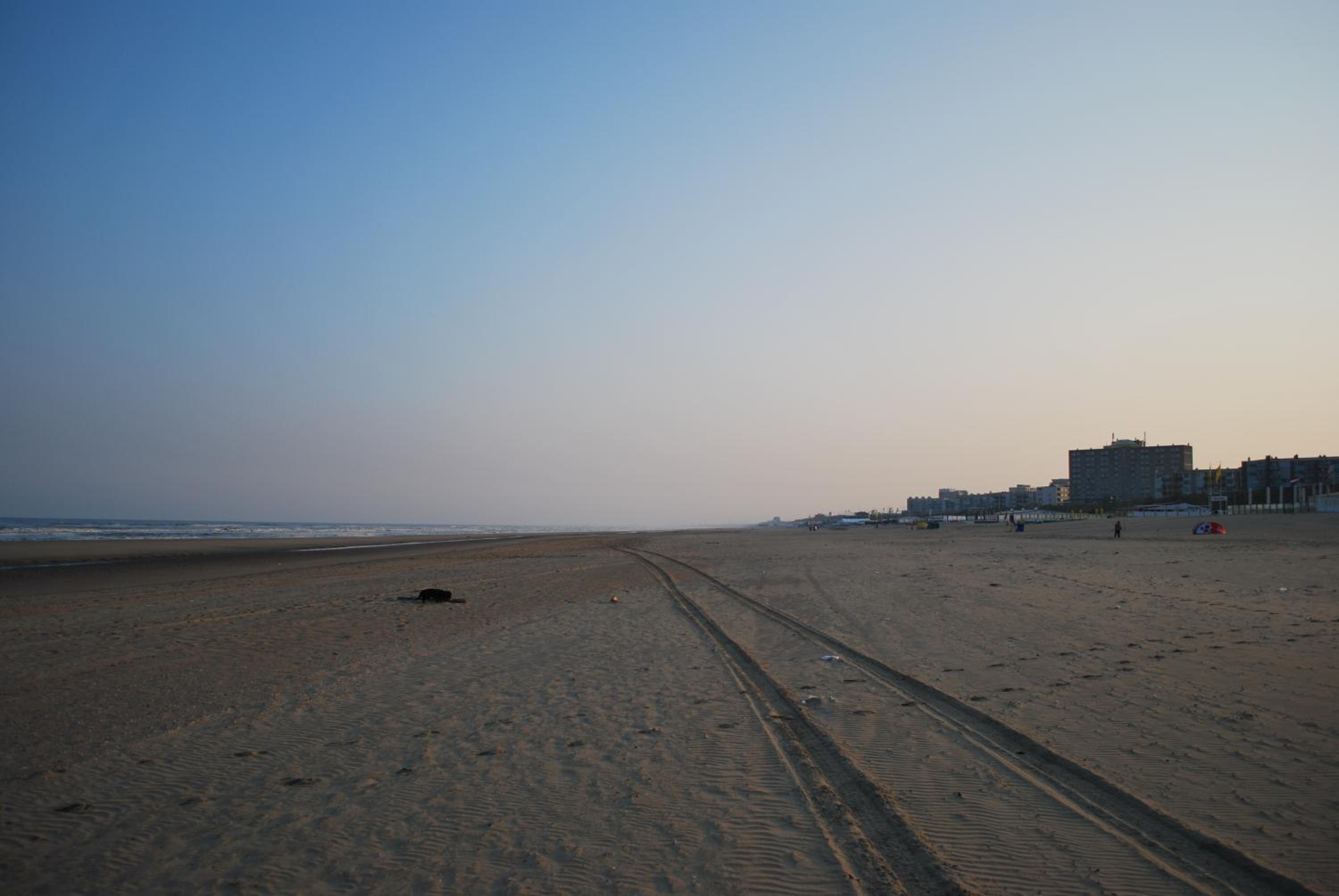 Photo 40
