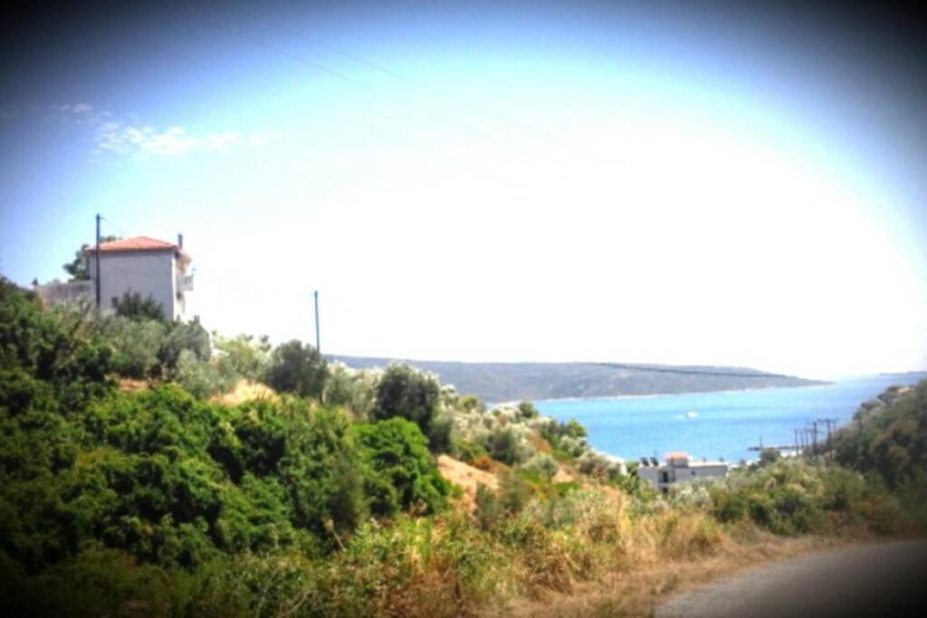 Photo 20