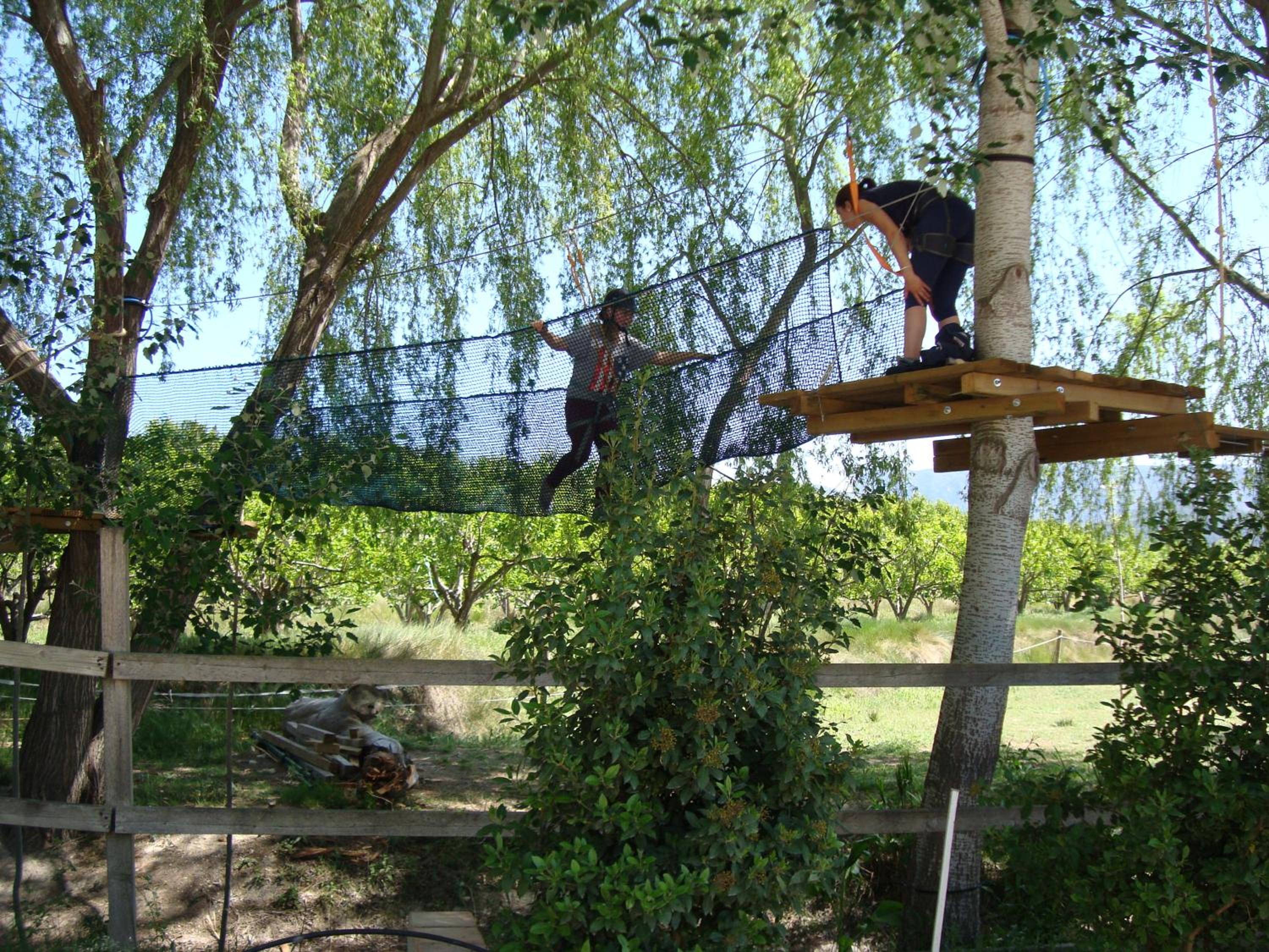 Photo 24