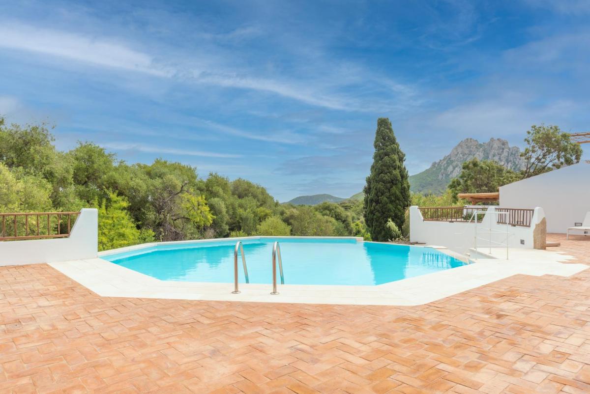 Cozy apartment Lemon San Pantaleo view 3