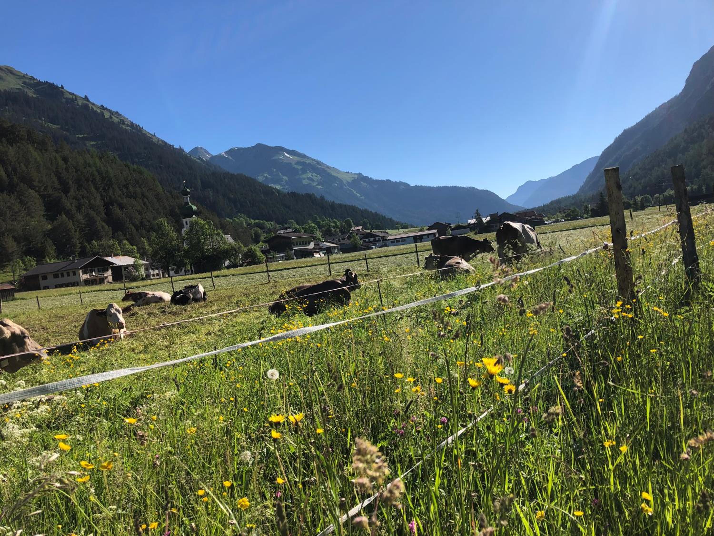 Lechrefugium Ferienwohnungen am Lechweg & Lechradweg