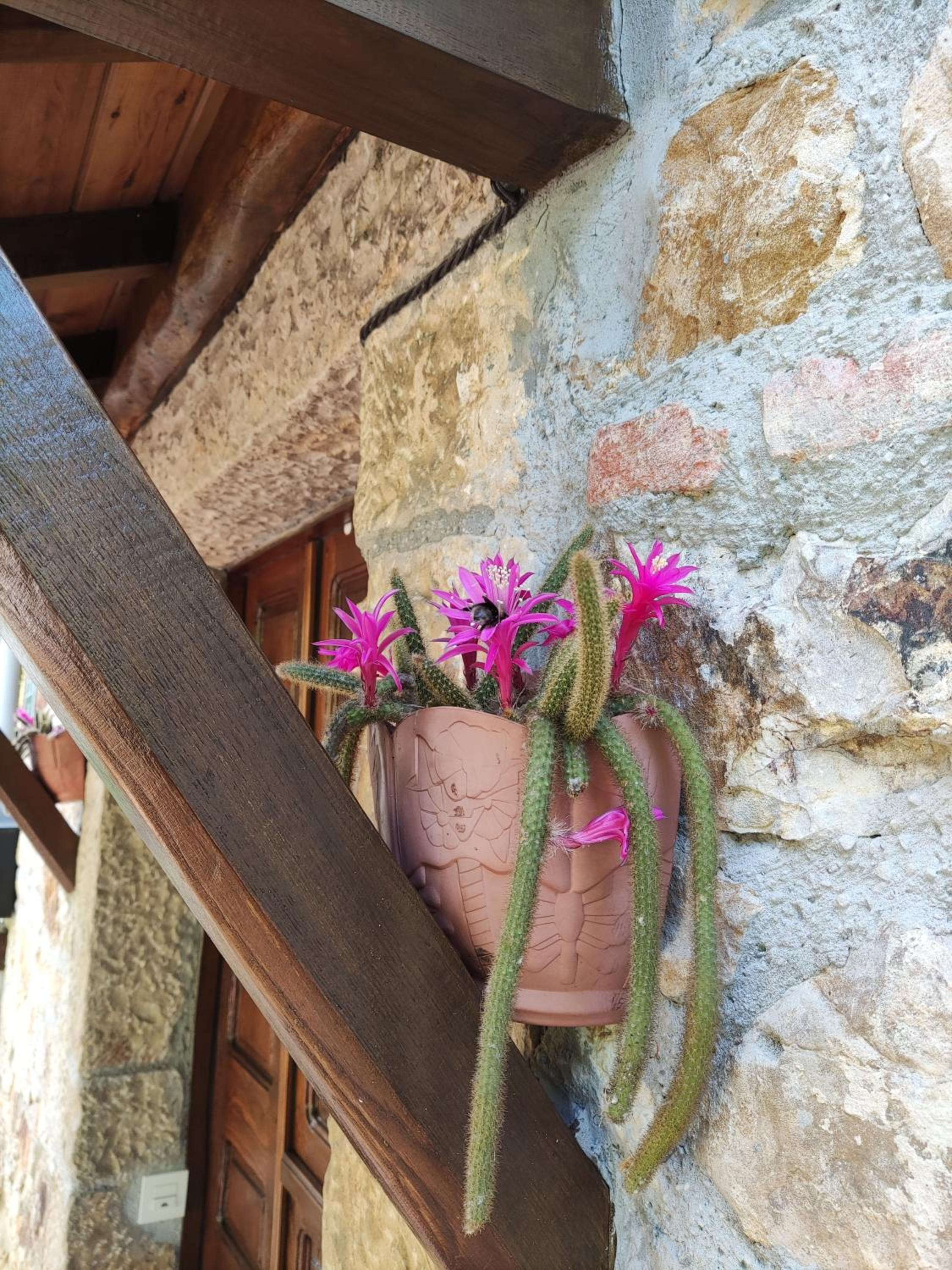 Apartamentos Rurales La Caviana