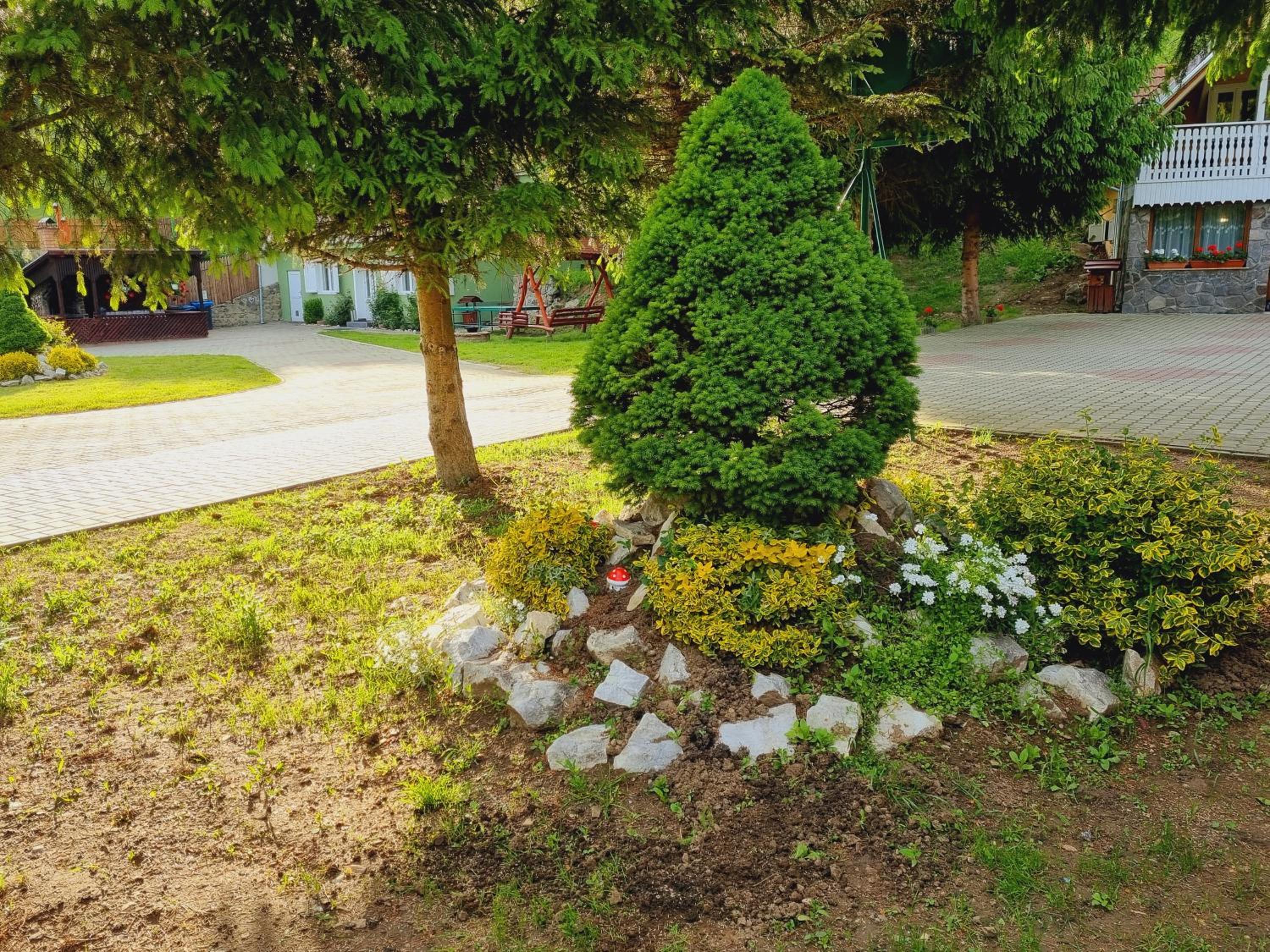 Photo 31