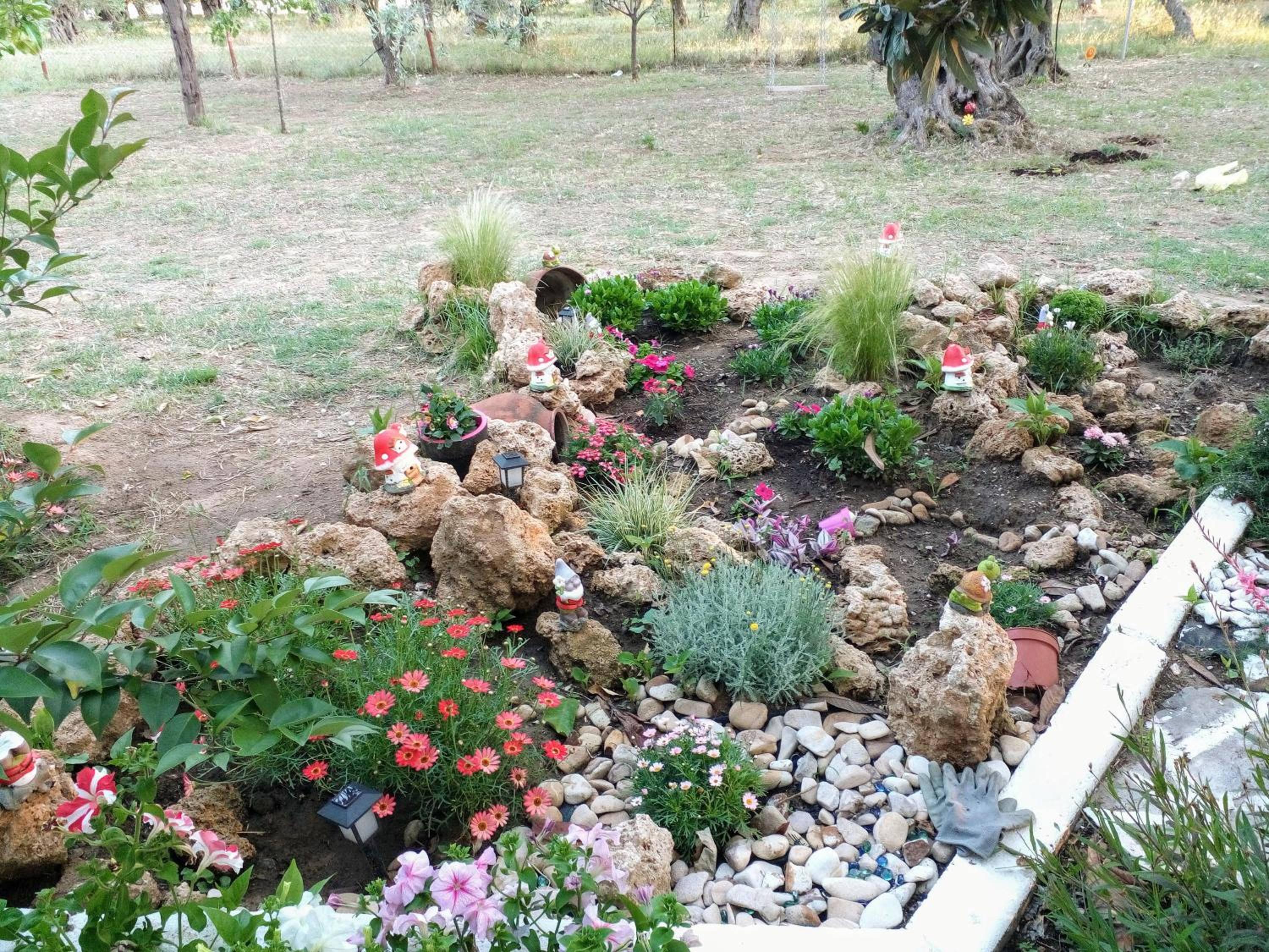 Photo 74