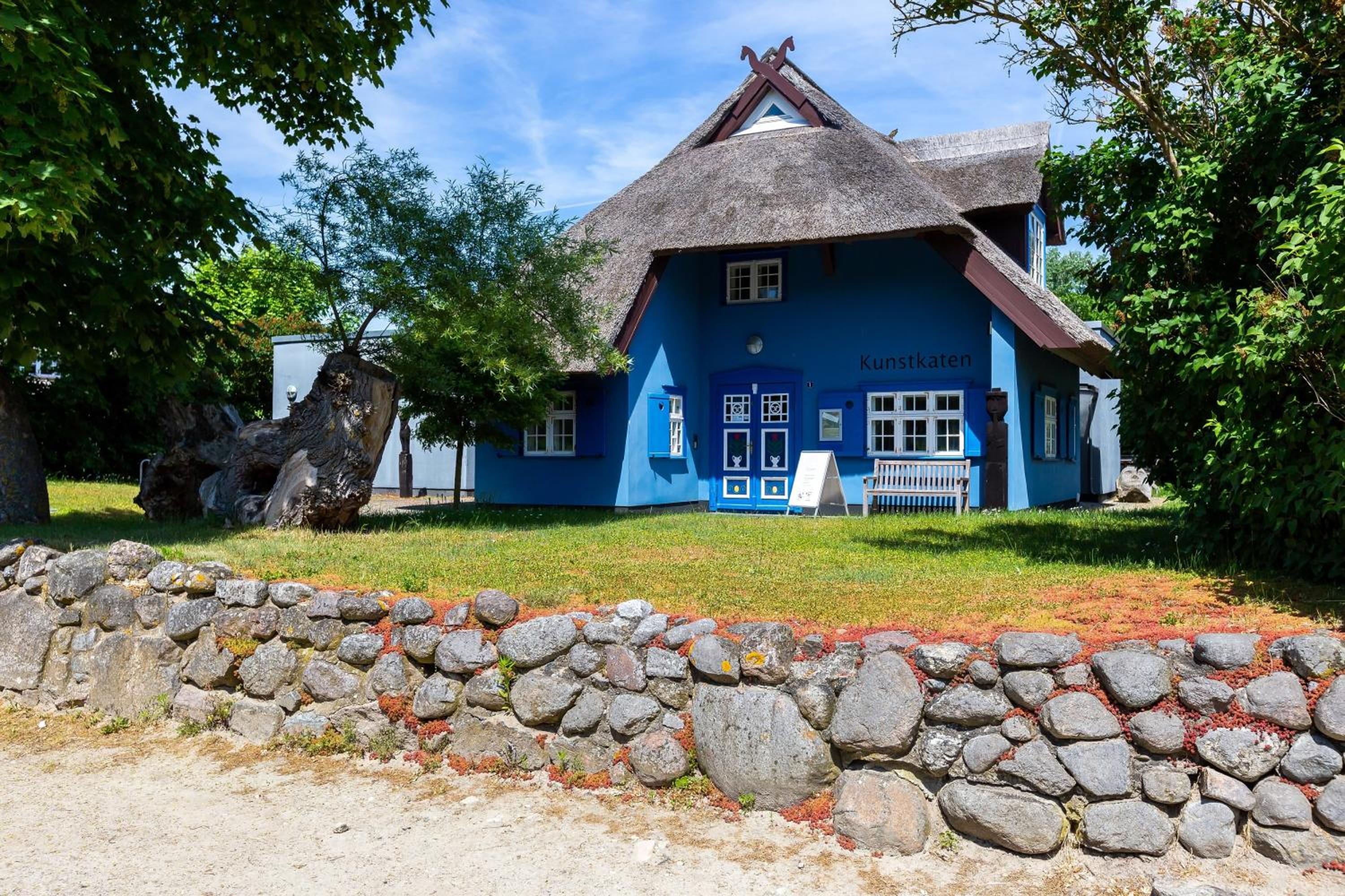 Muschel 4