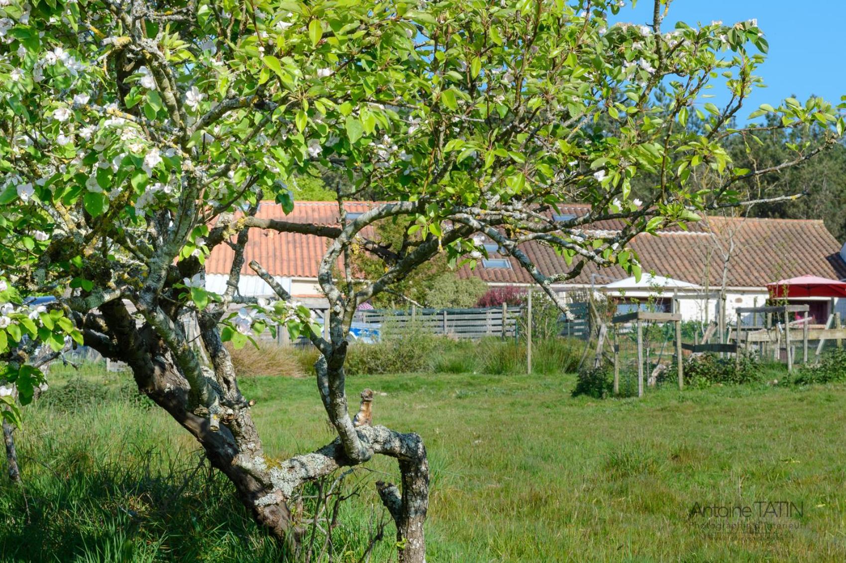 La Chèvrerie view 4