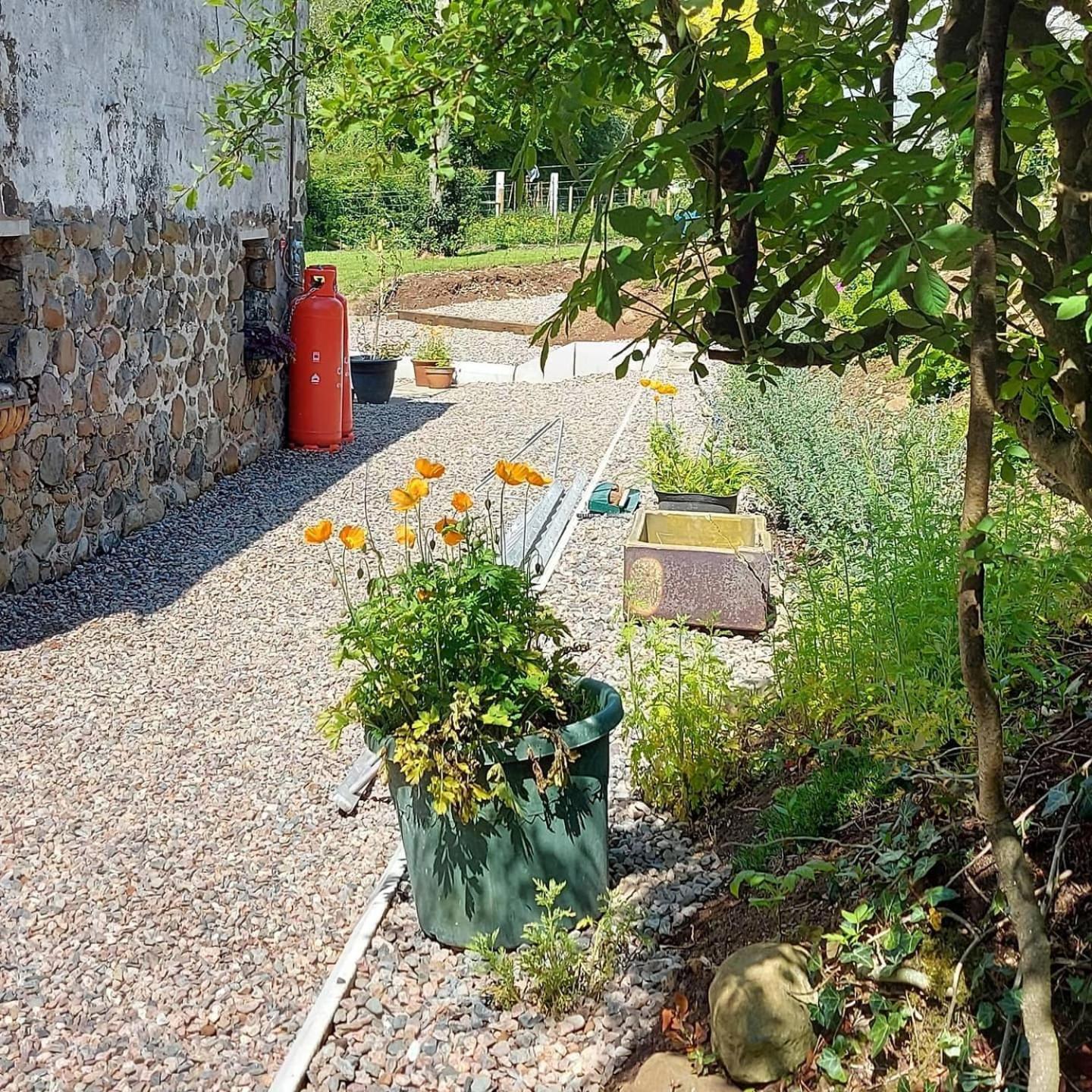Blackshaw's Studio view 5