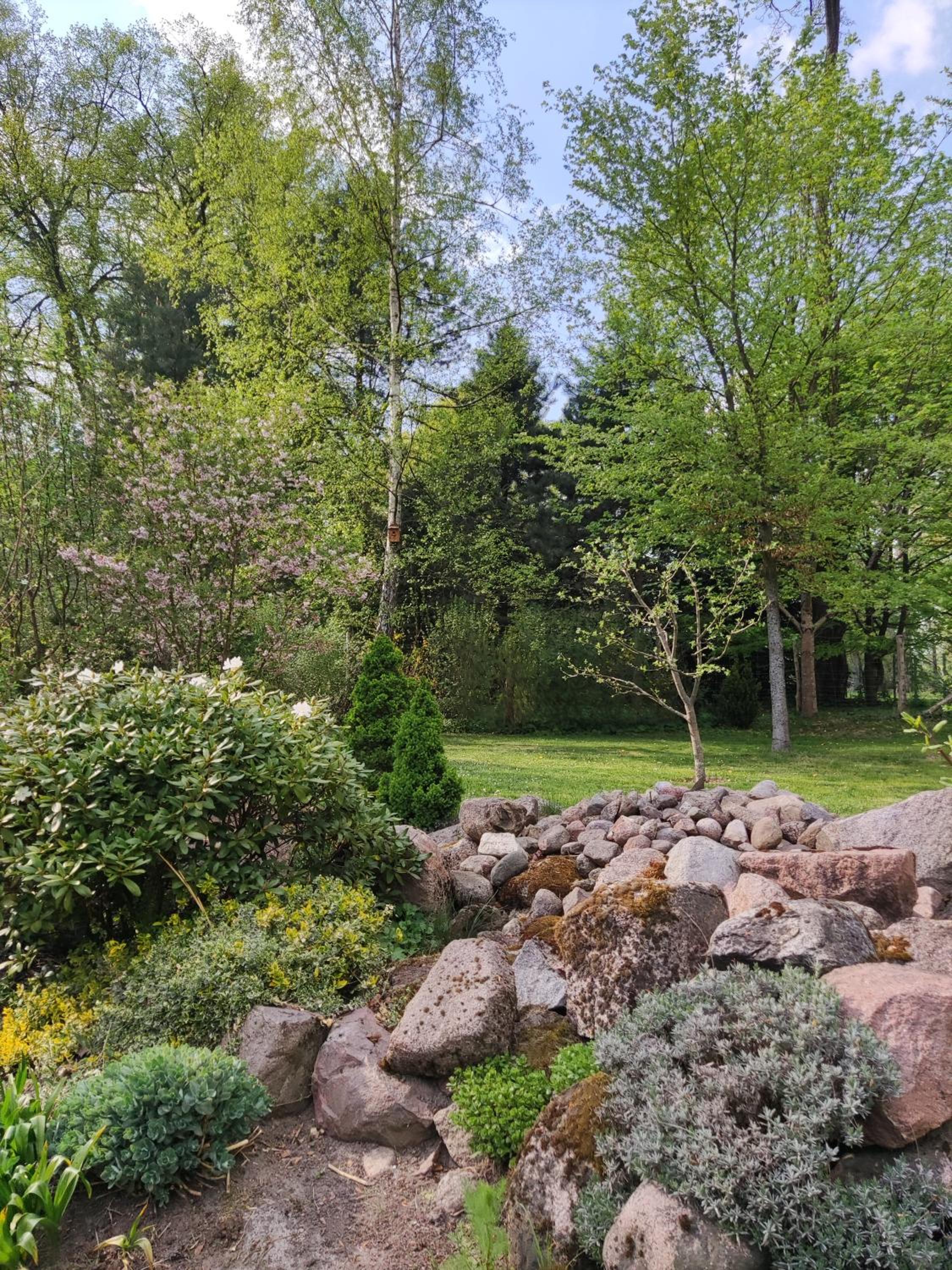 Photo 25