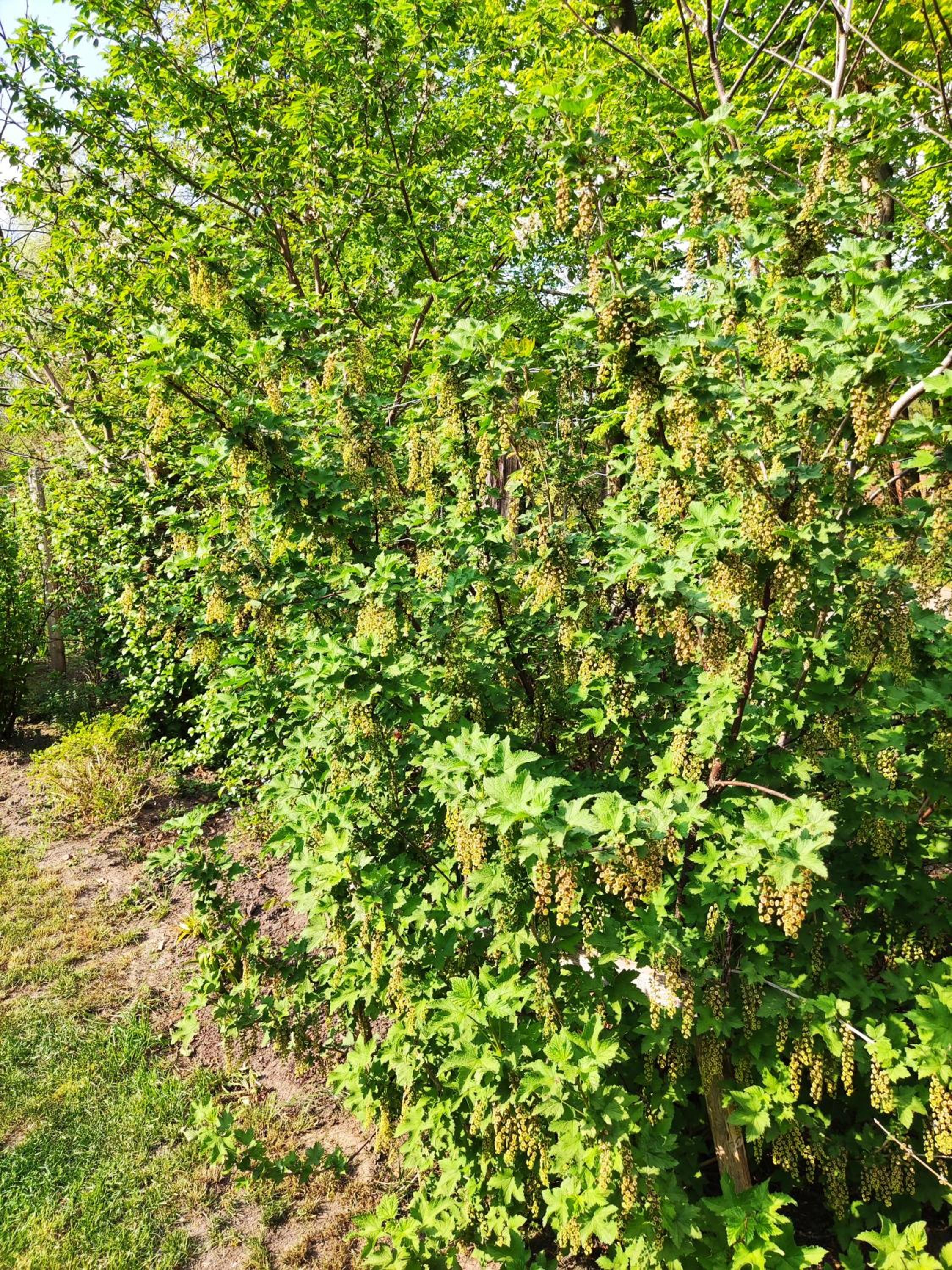 Photo 45