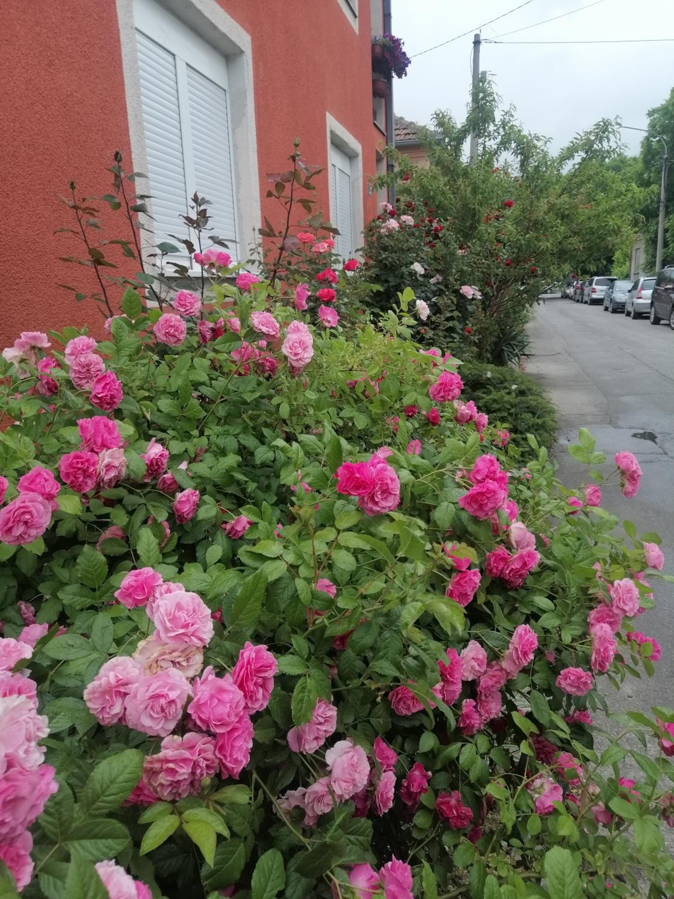 Apartman Nana Jagodina view 2