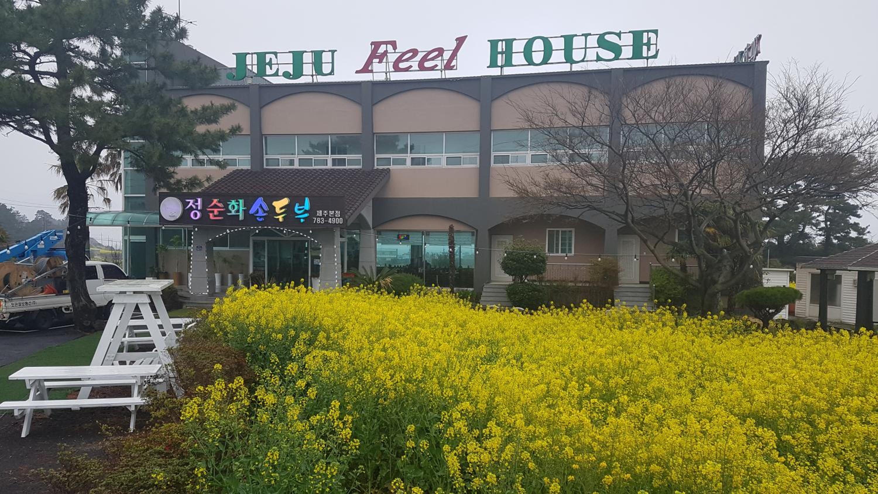 Jeju Feel House