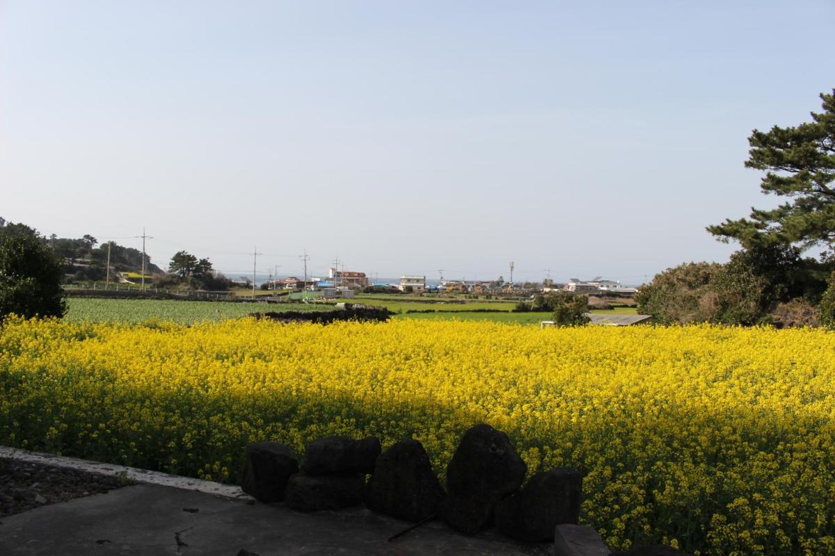 Jeju Feel House