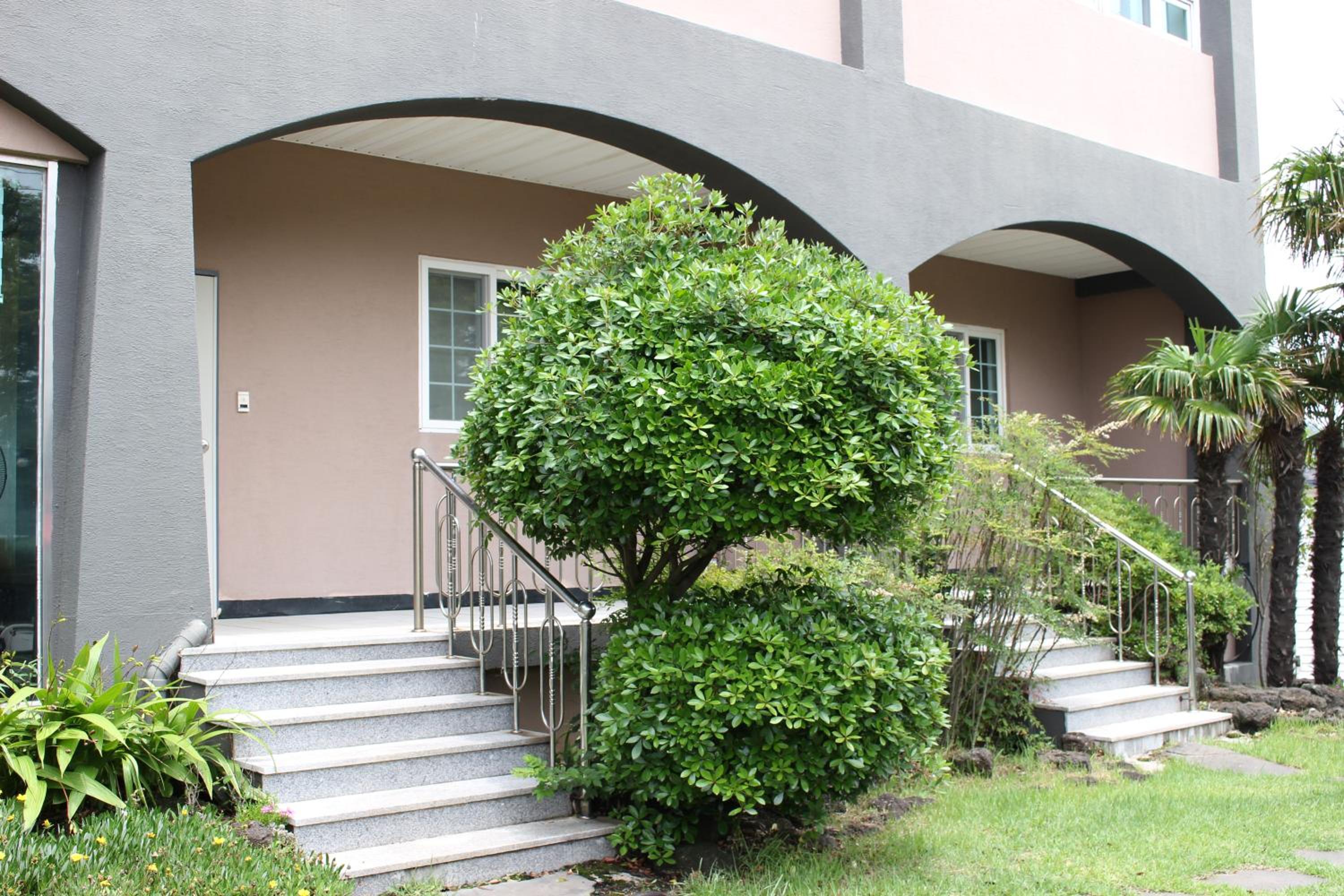Jeju Feel House