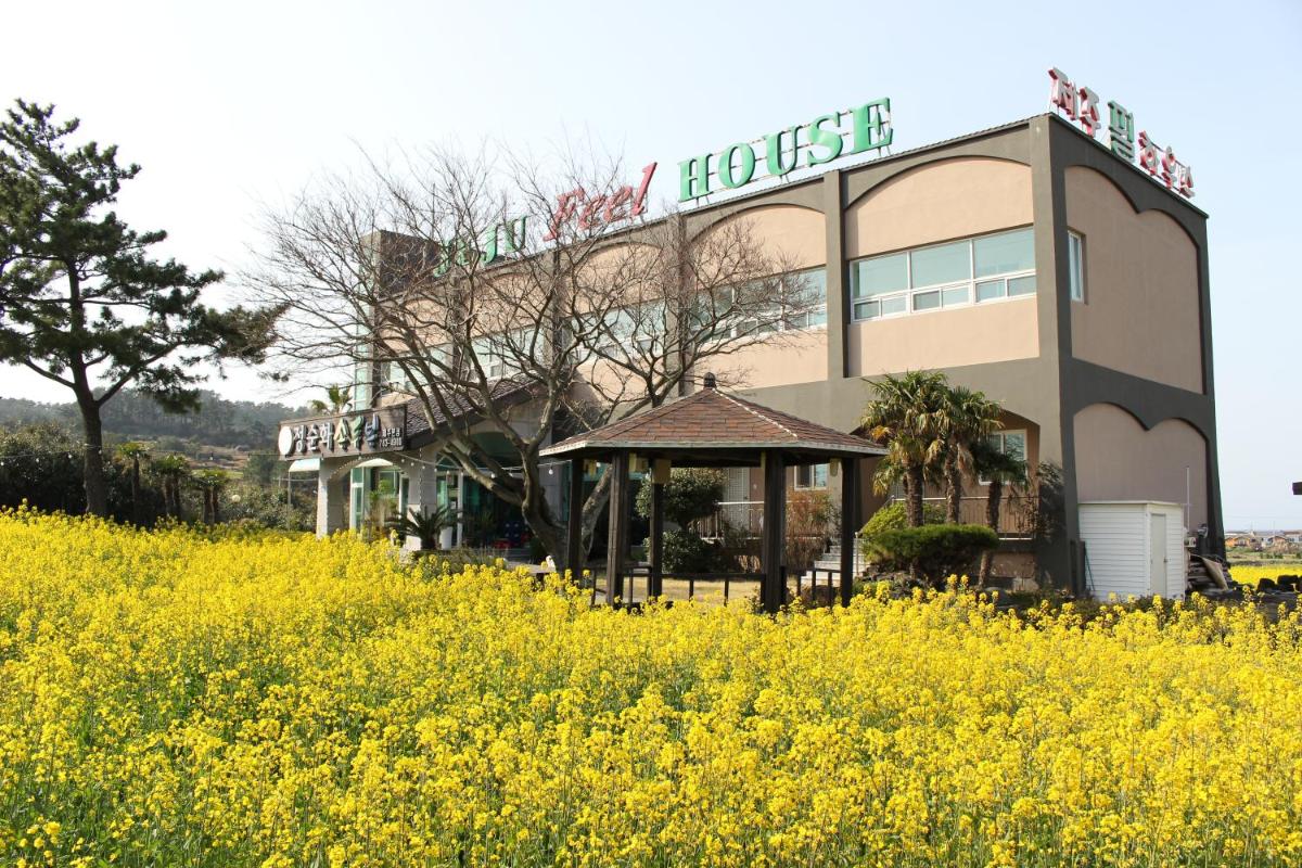 Jeju Feel House