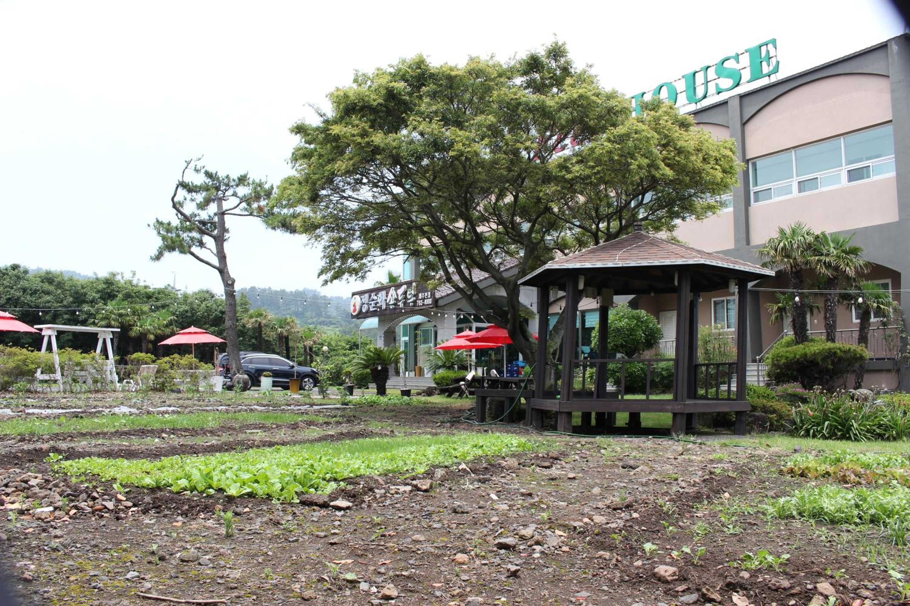 Jeju Feel House