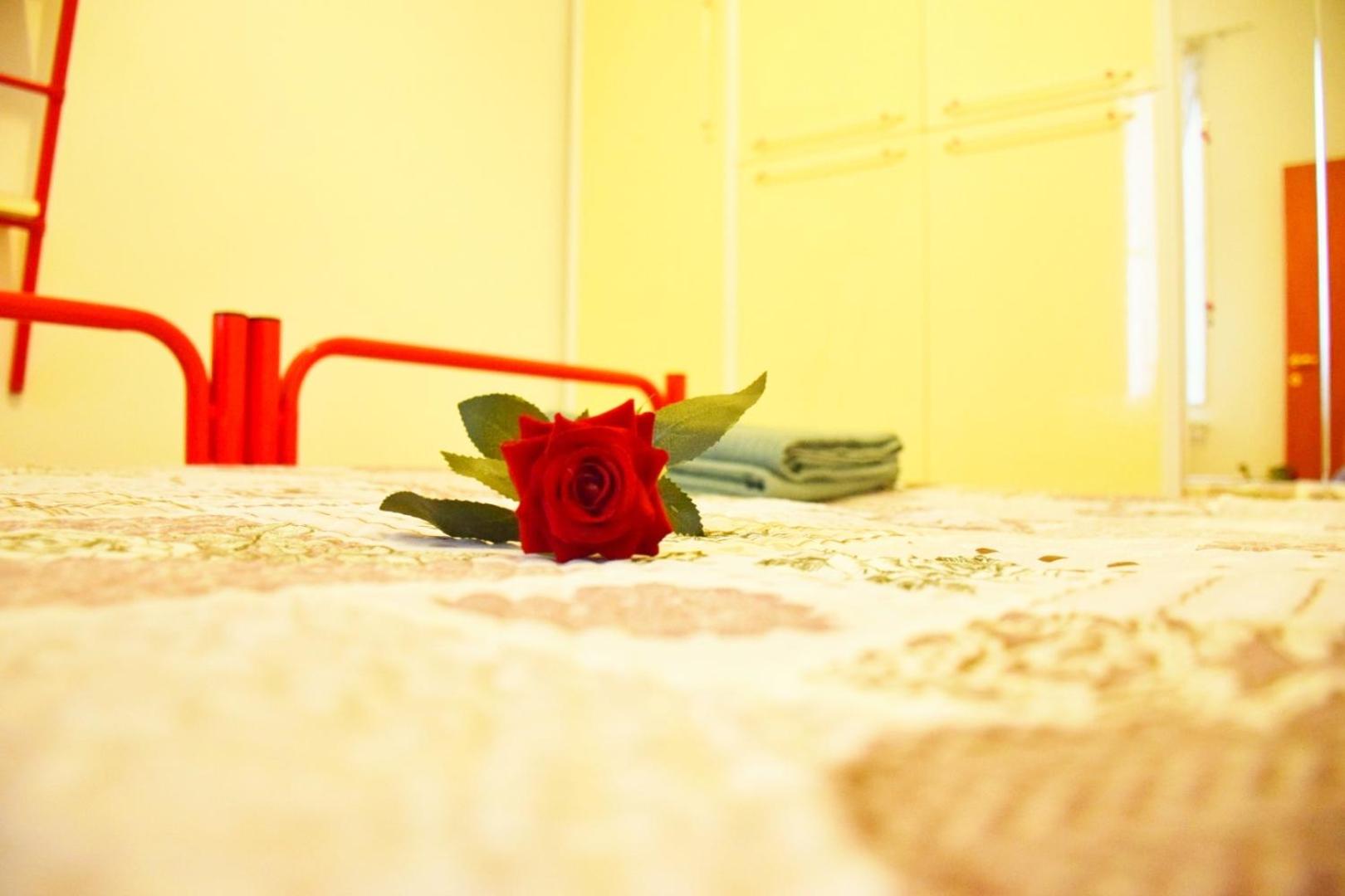 Photo 24
