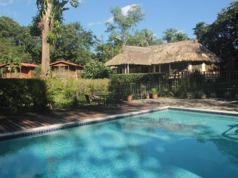 Tanager RainForest Lodge