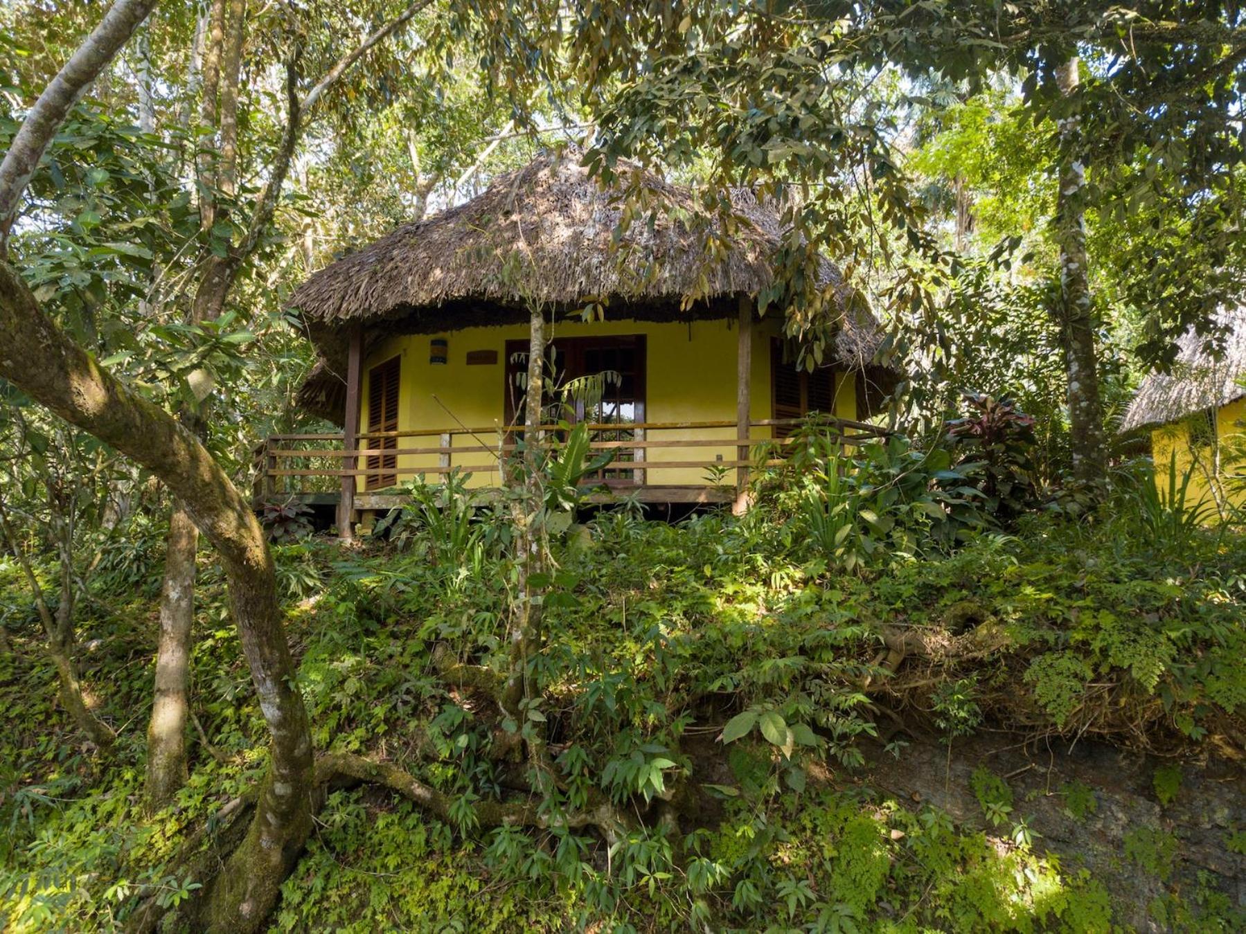 Tanager RainForest Lodge