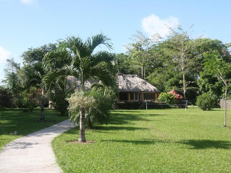 Tanager RainForest Lodge
