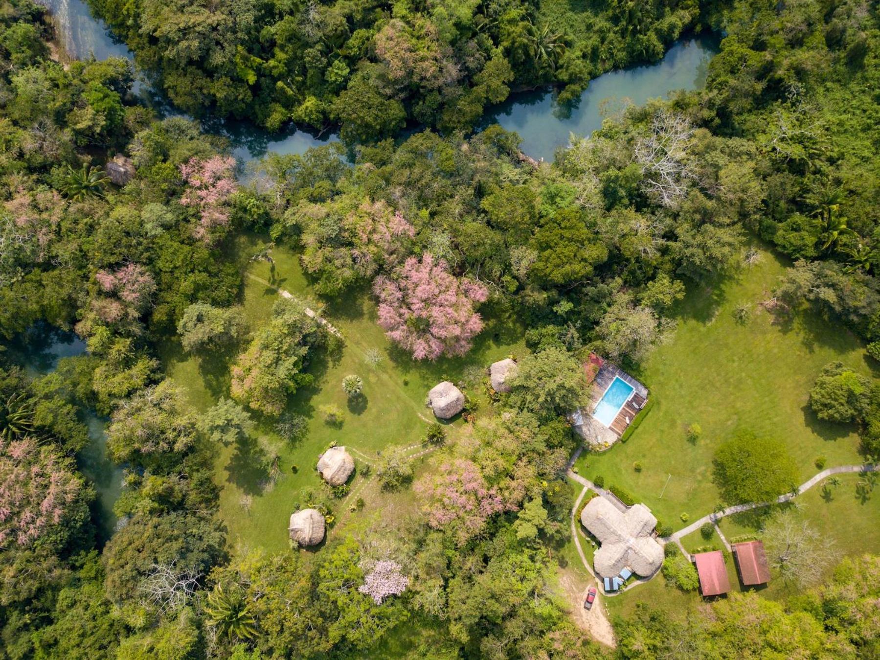 Tanager RainForest Lodge