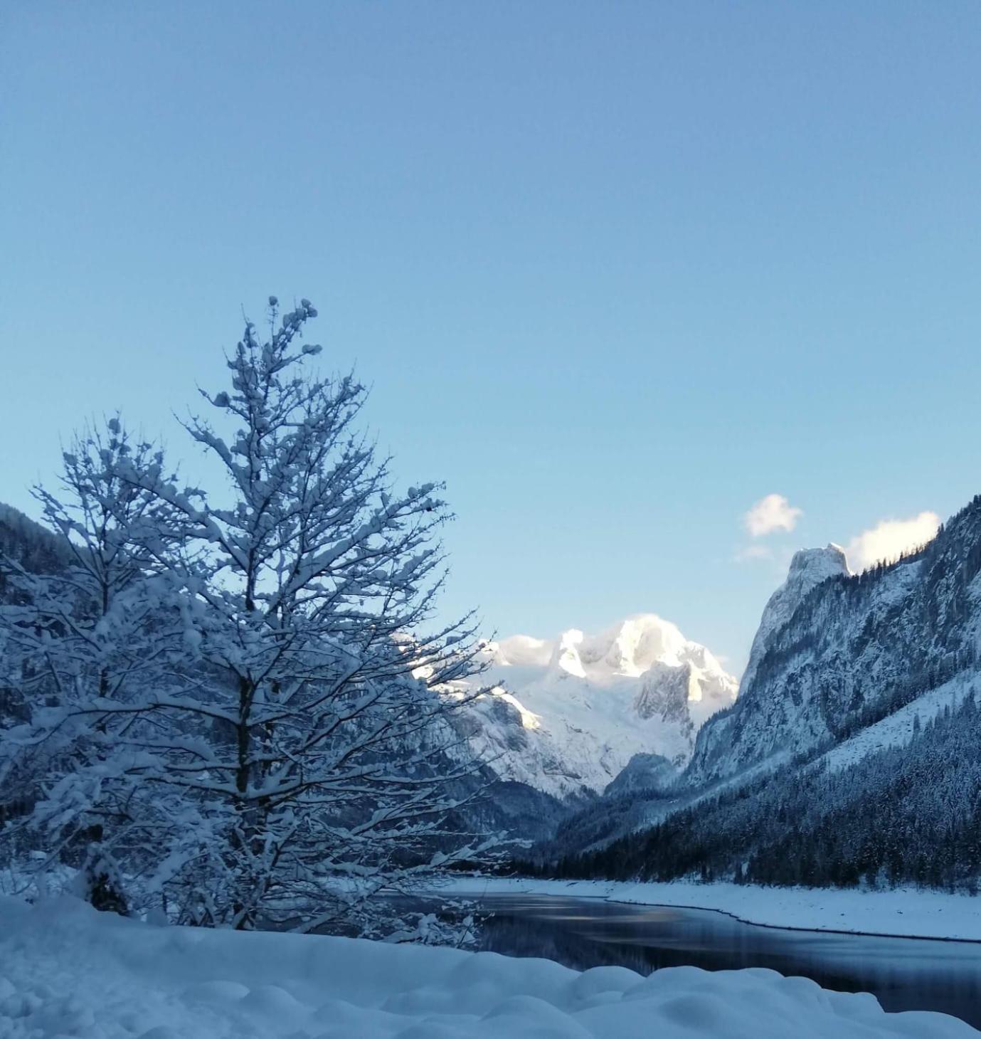 Kalvarienberg Appartement Gosau view 5