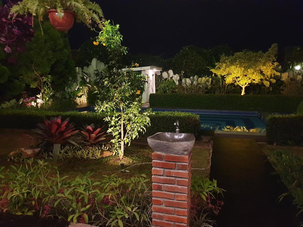 Photo 41
