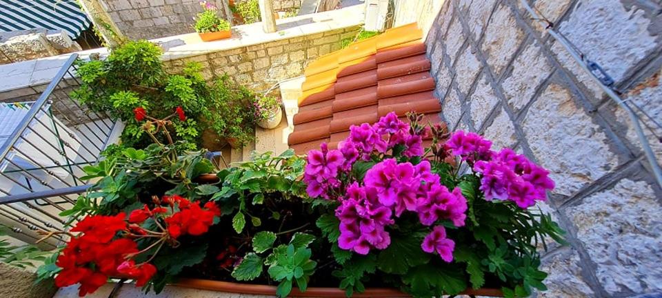 Bed & Breakfast Dionis Vis view 5