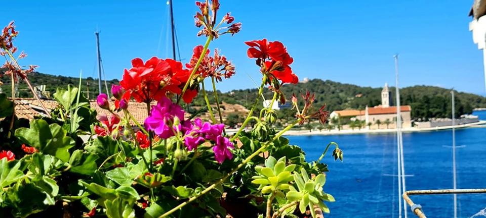 Bed & Breakfast Dionis Vis view 3