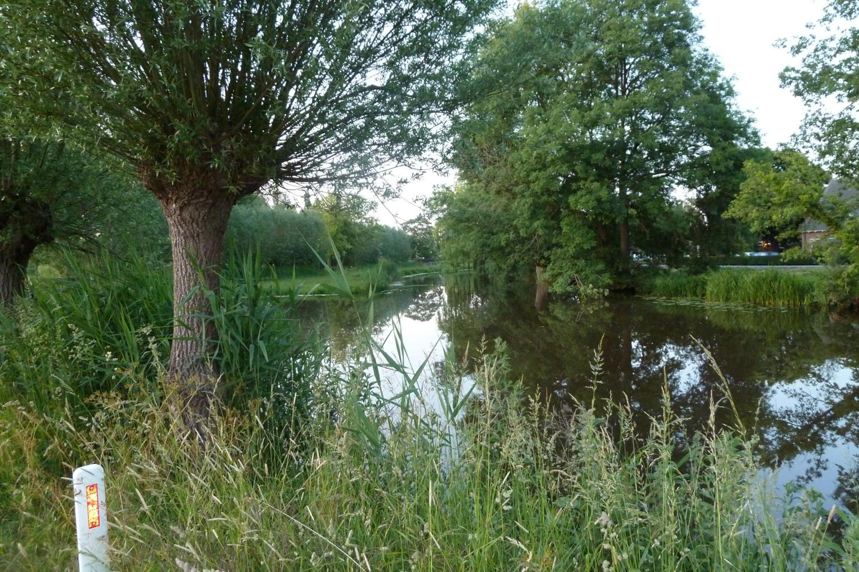 Photo 29