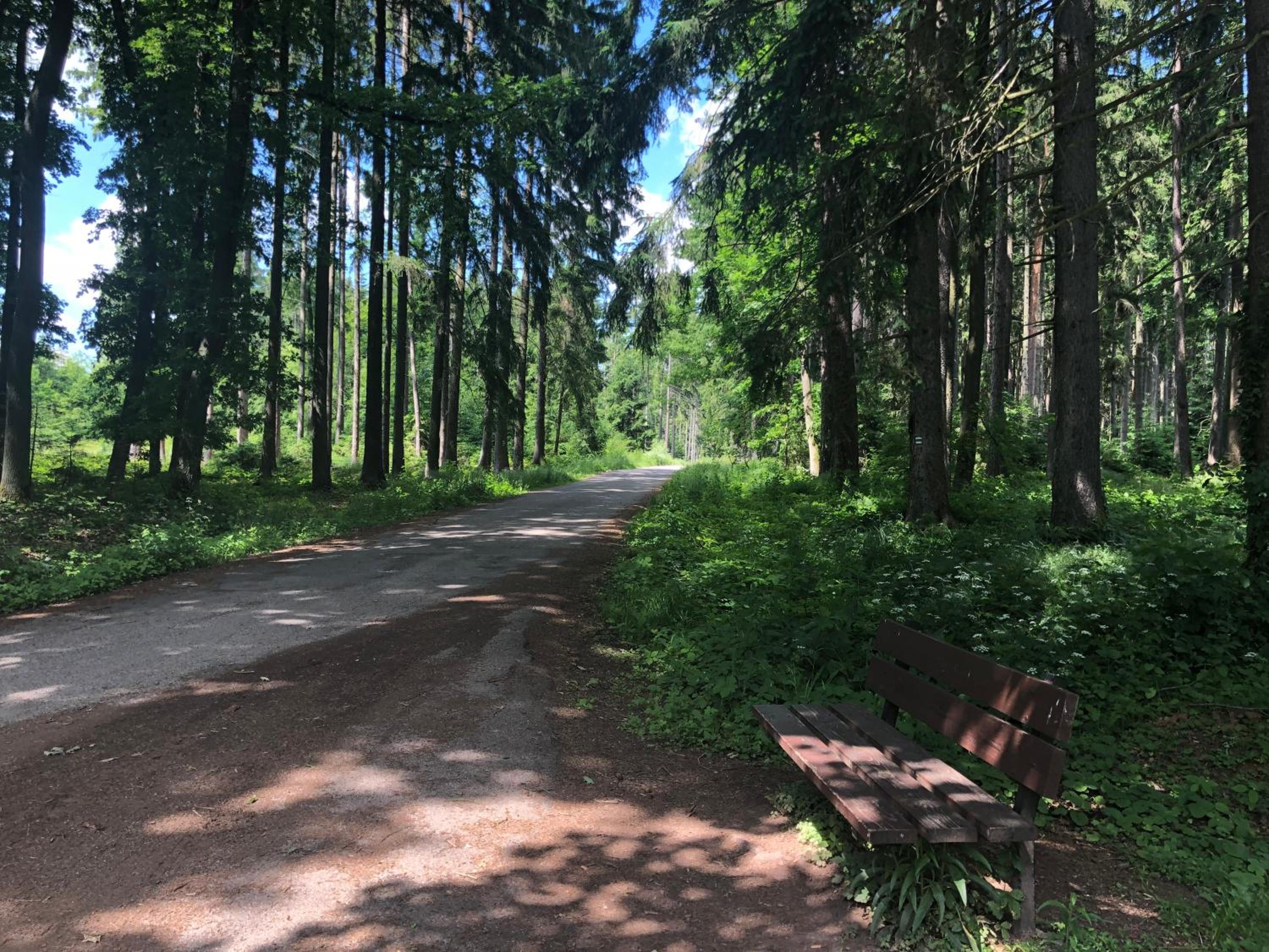 Apartmány Jevany