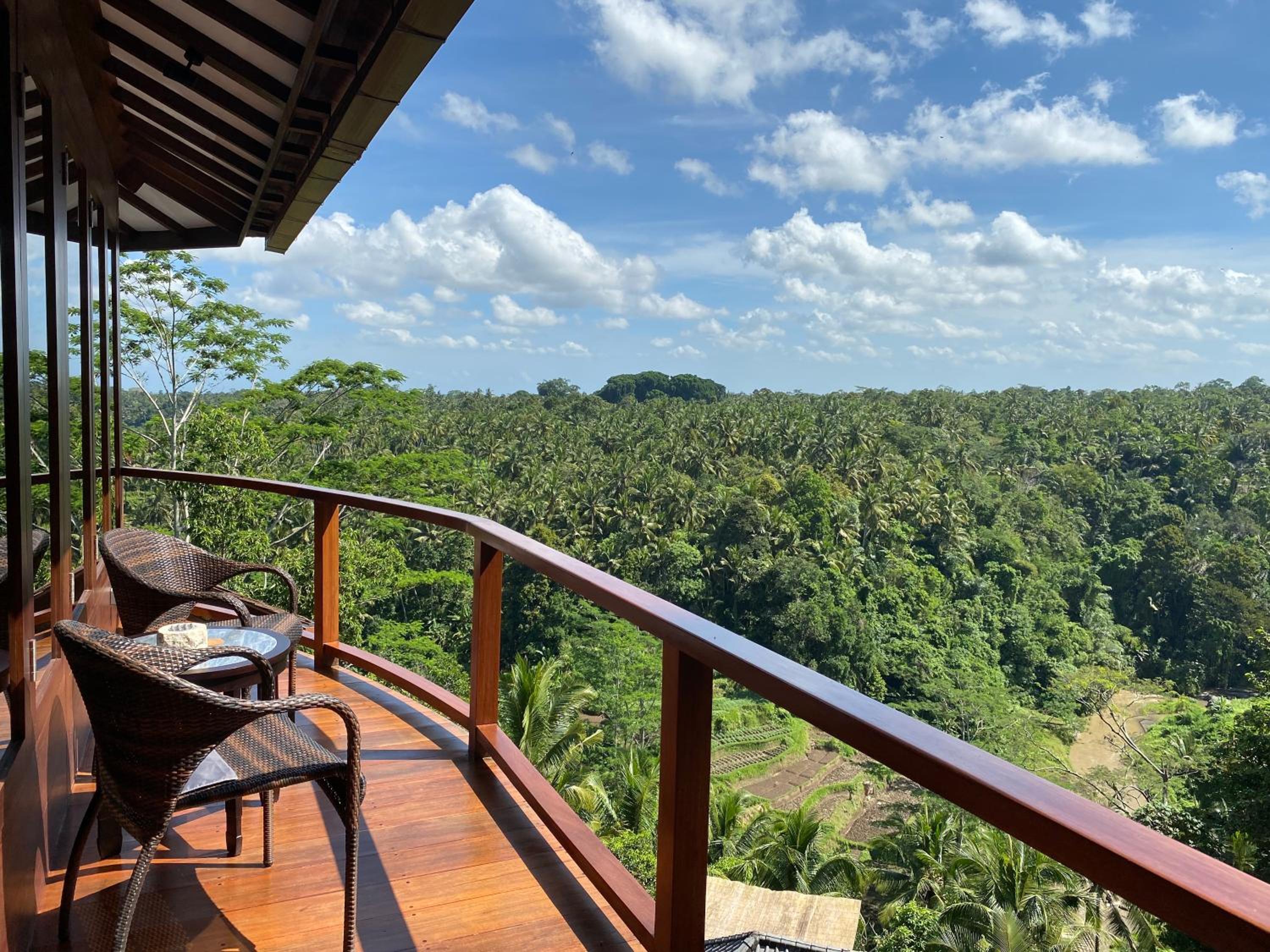Villa Dhyan view 4