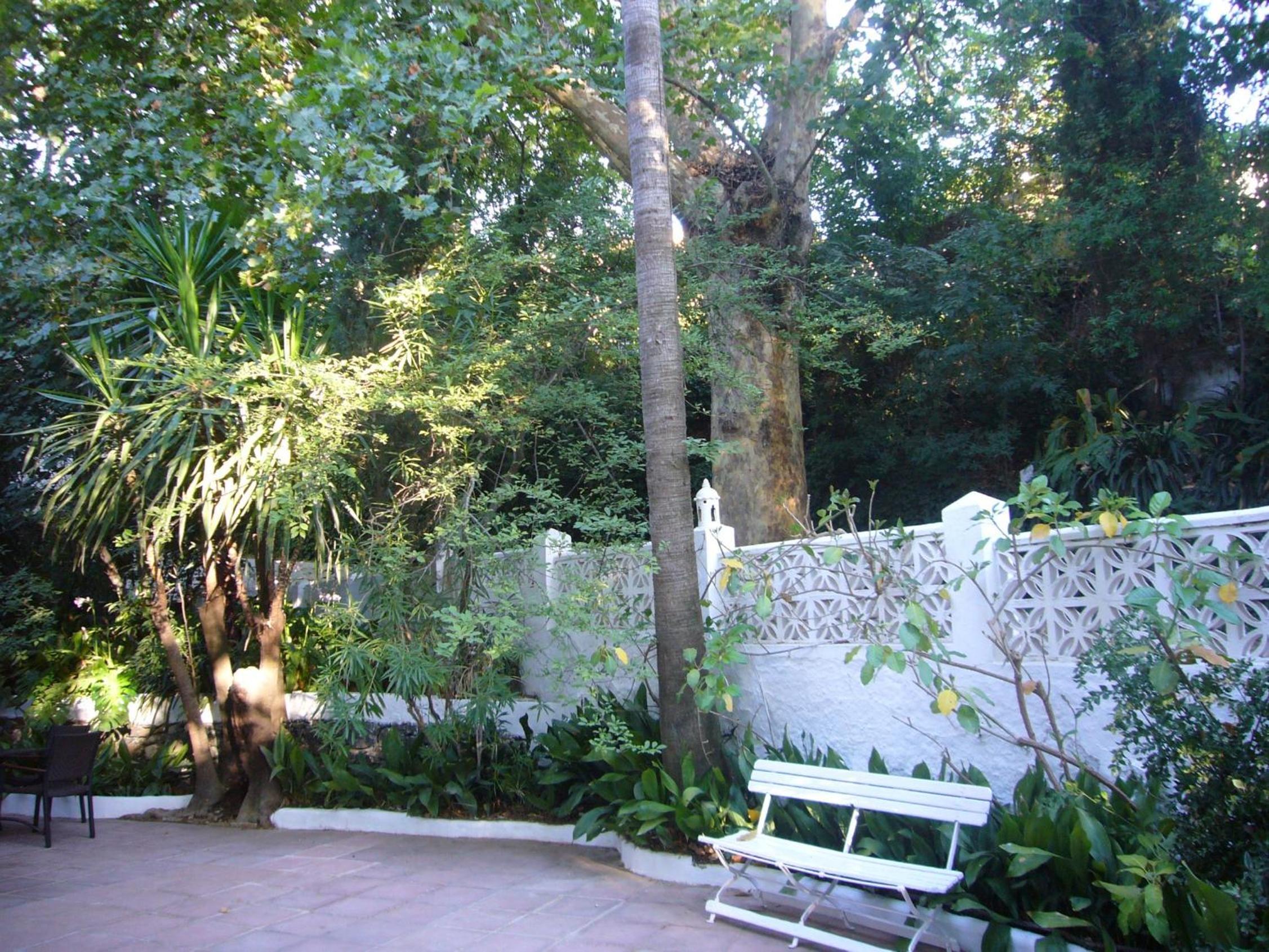 Photo 25