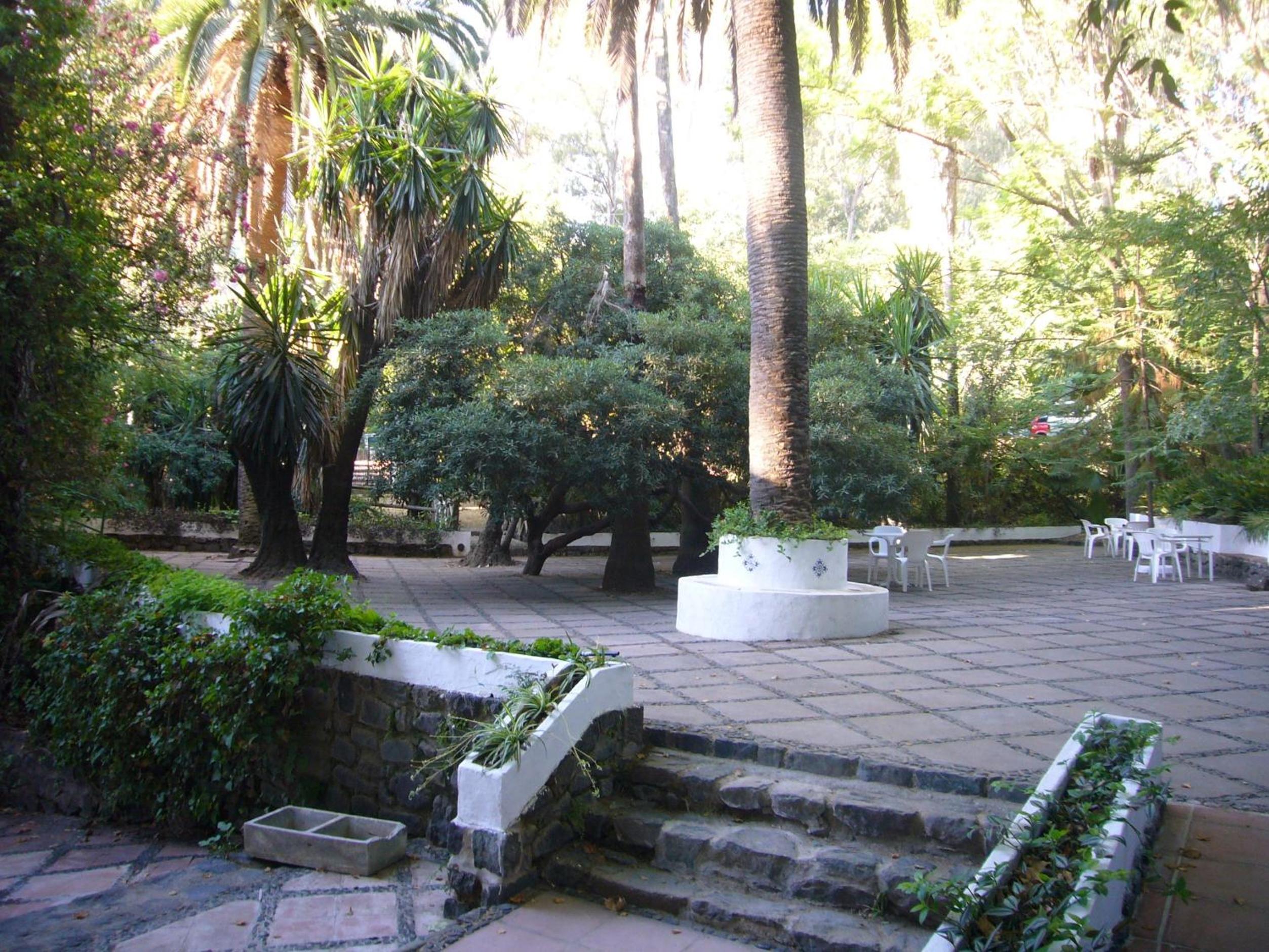 Photo 26