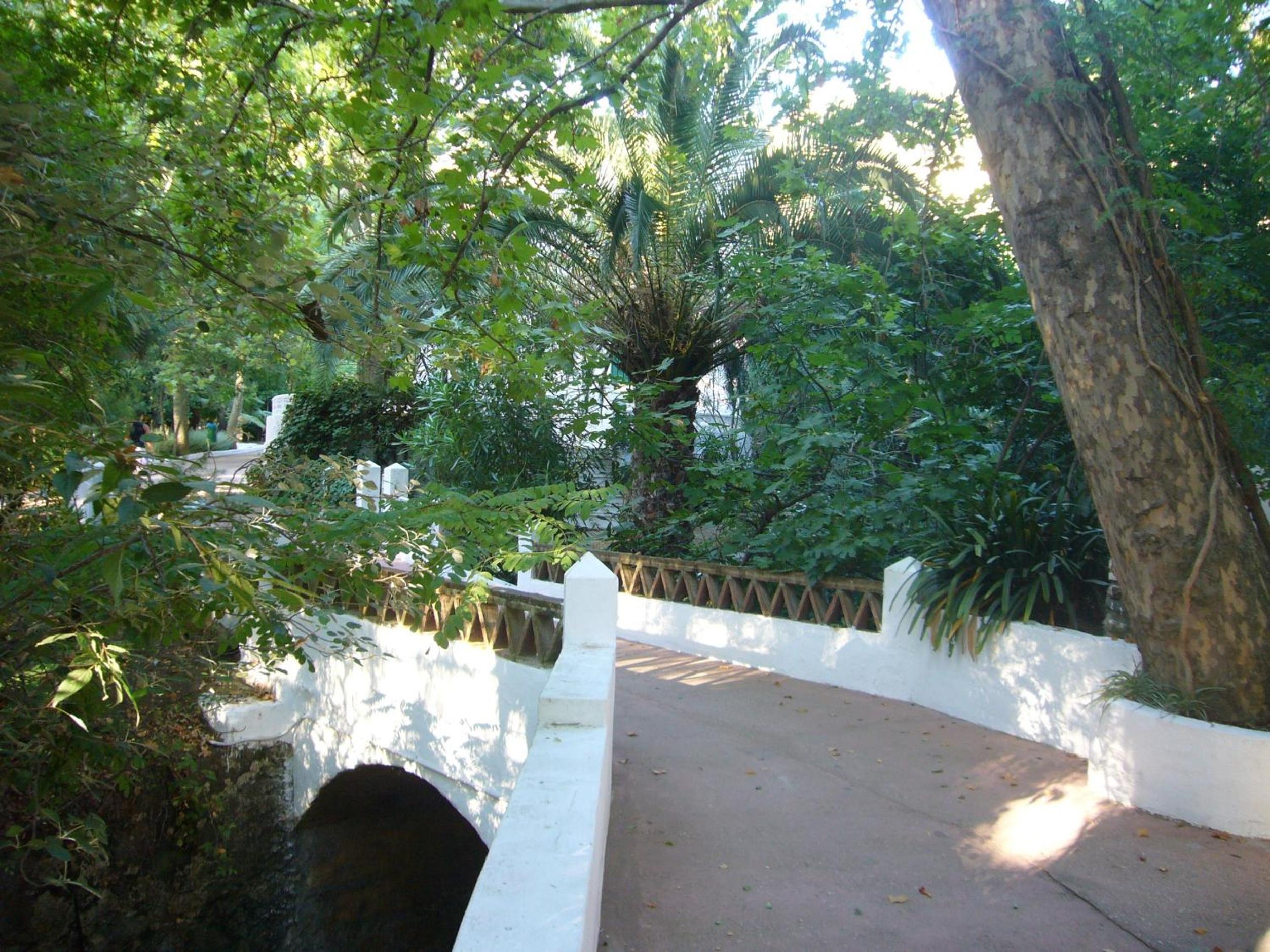 Photo 27