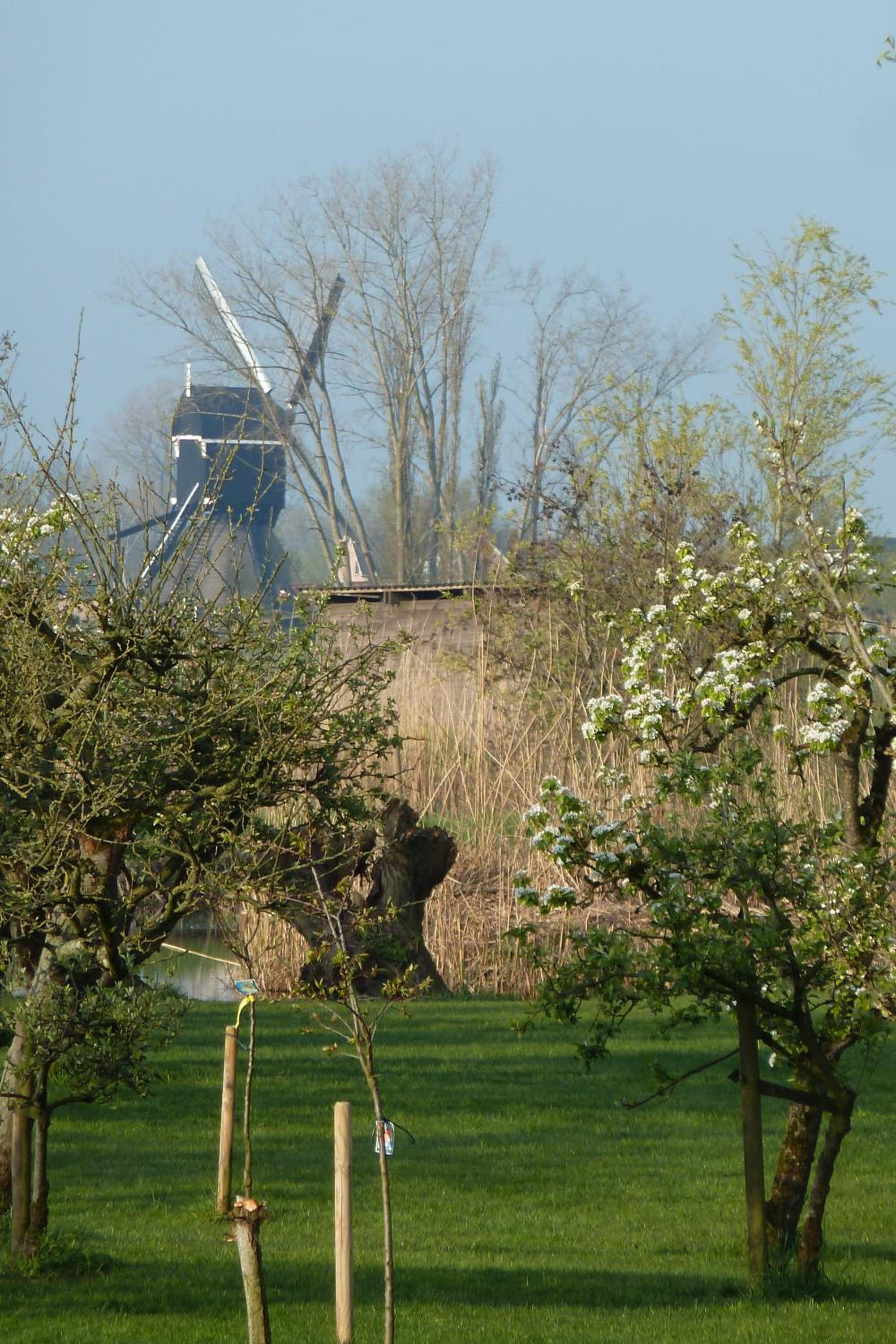 Photo 30