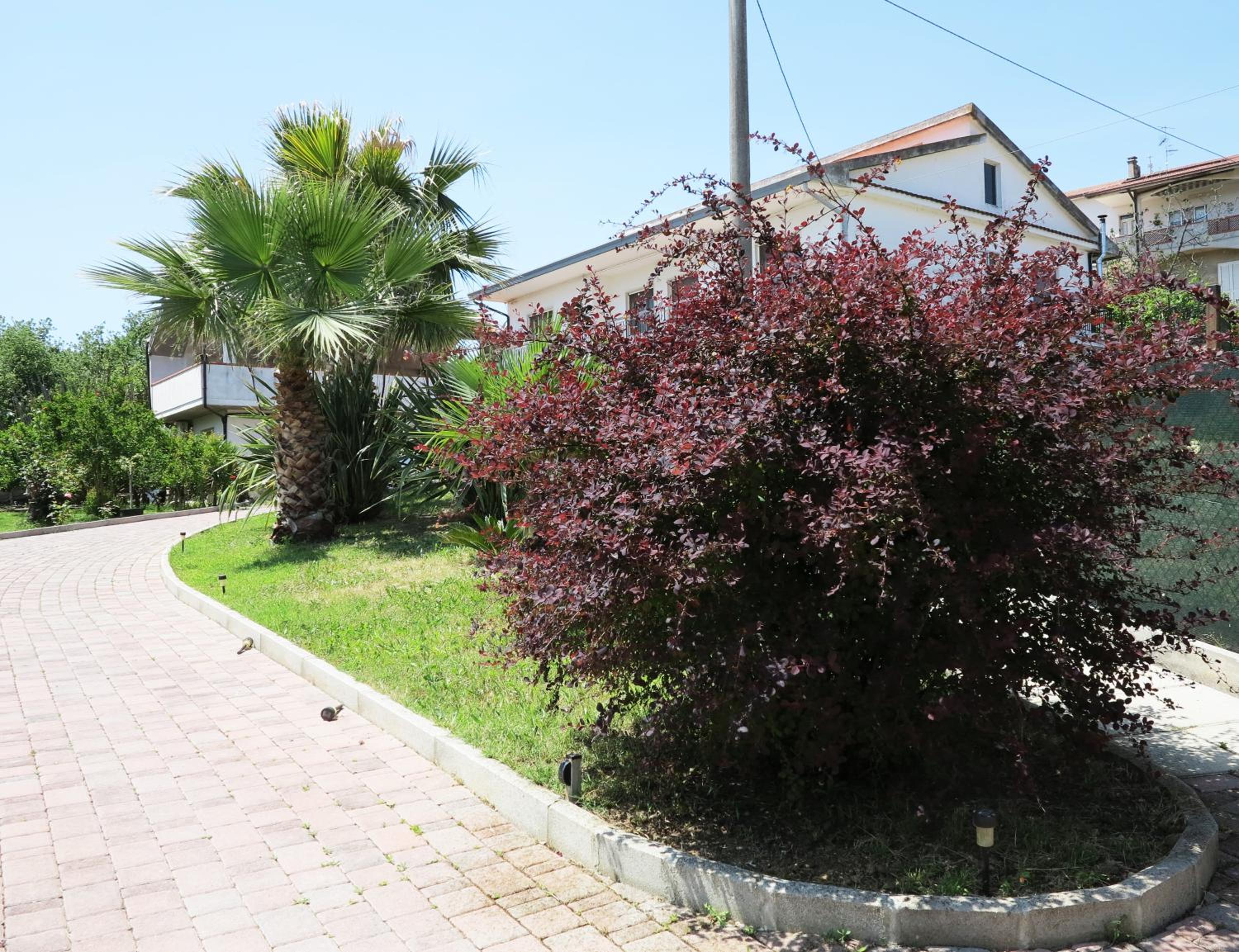 il Riccio B&B view 3