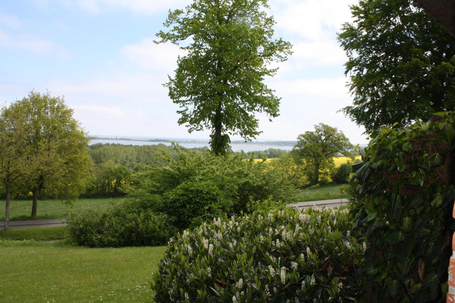 Reethus Stöfs