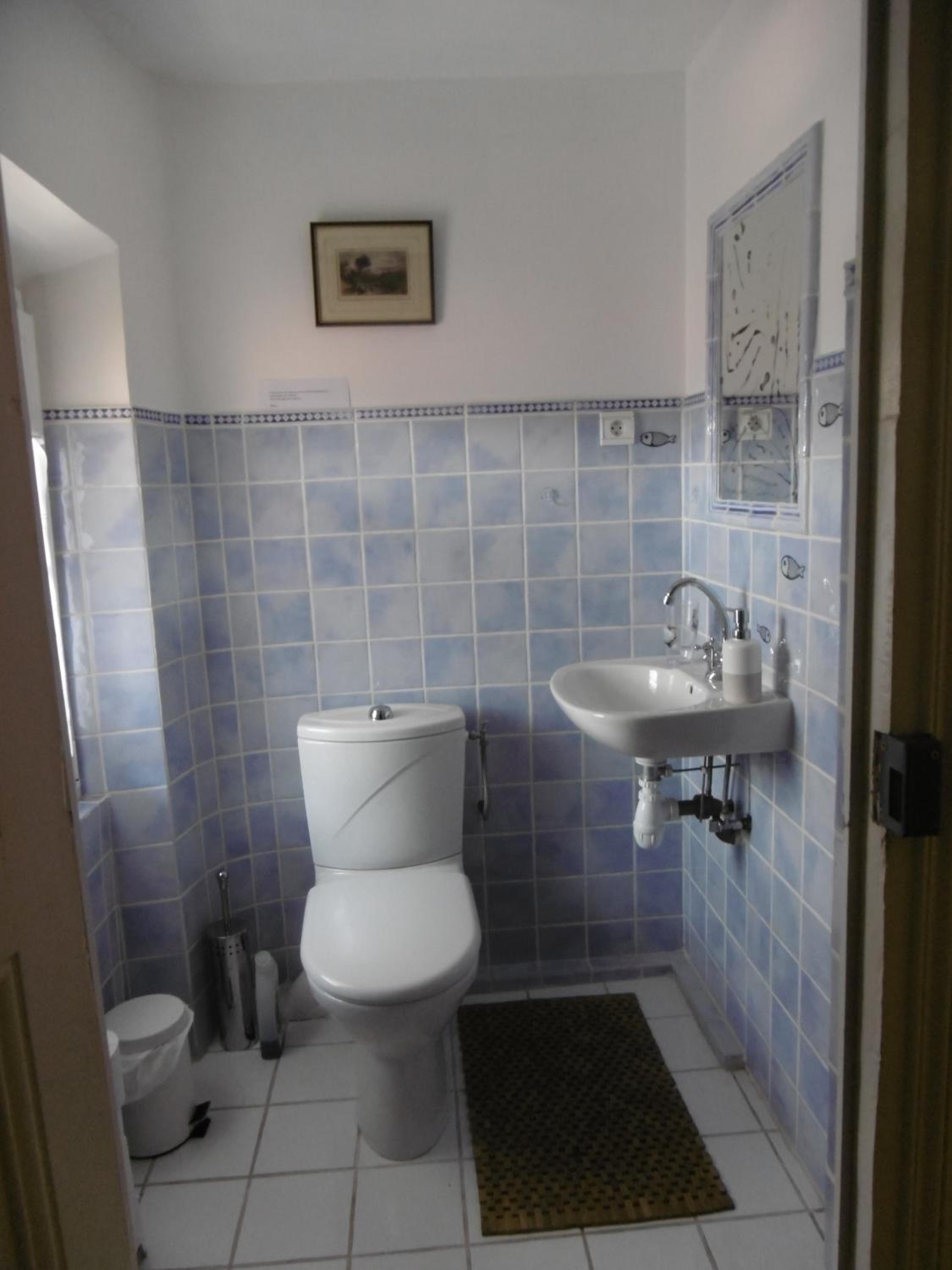 Cottage Massanet, photo 6