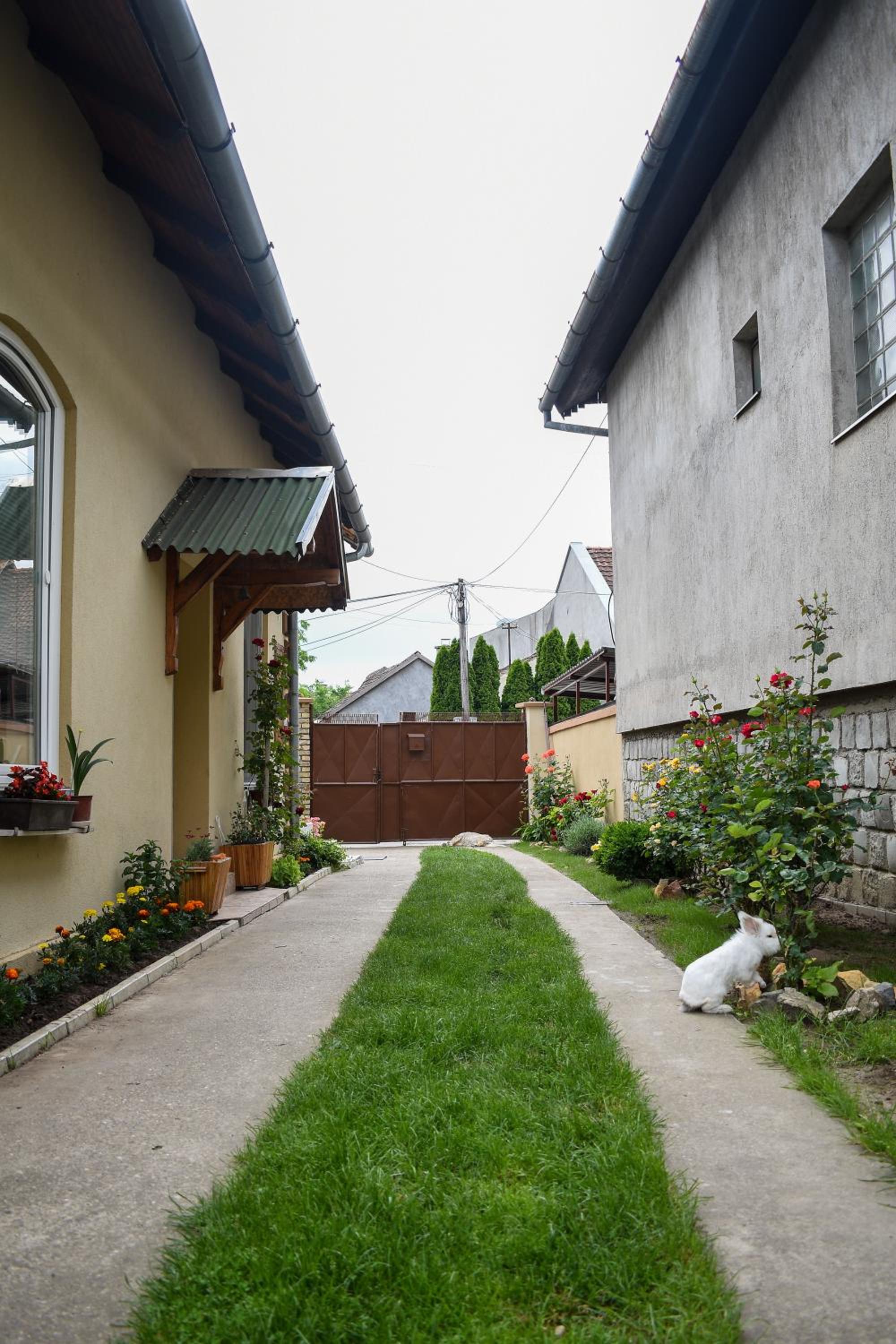 Photo 28