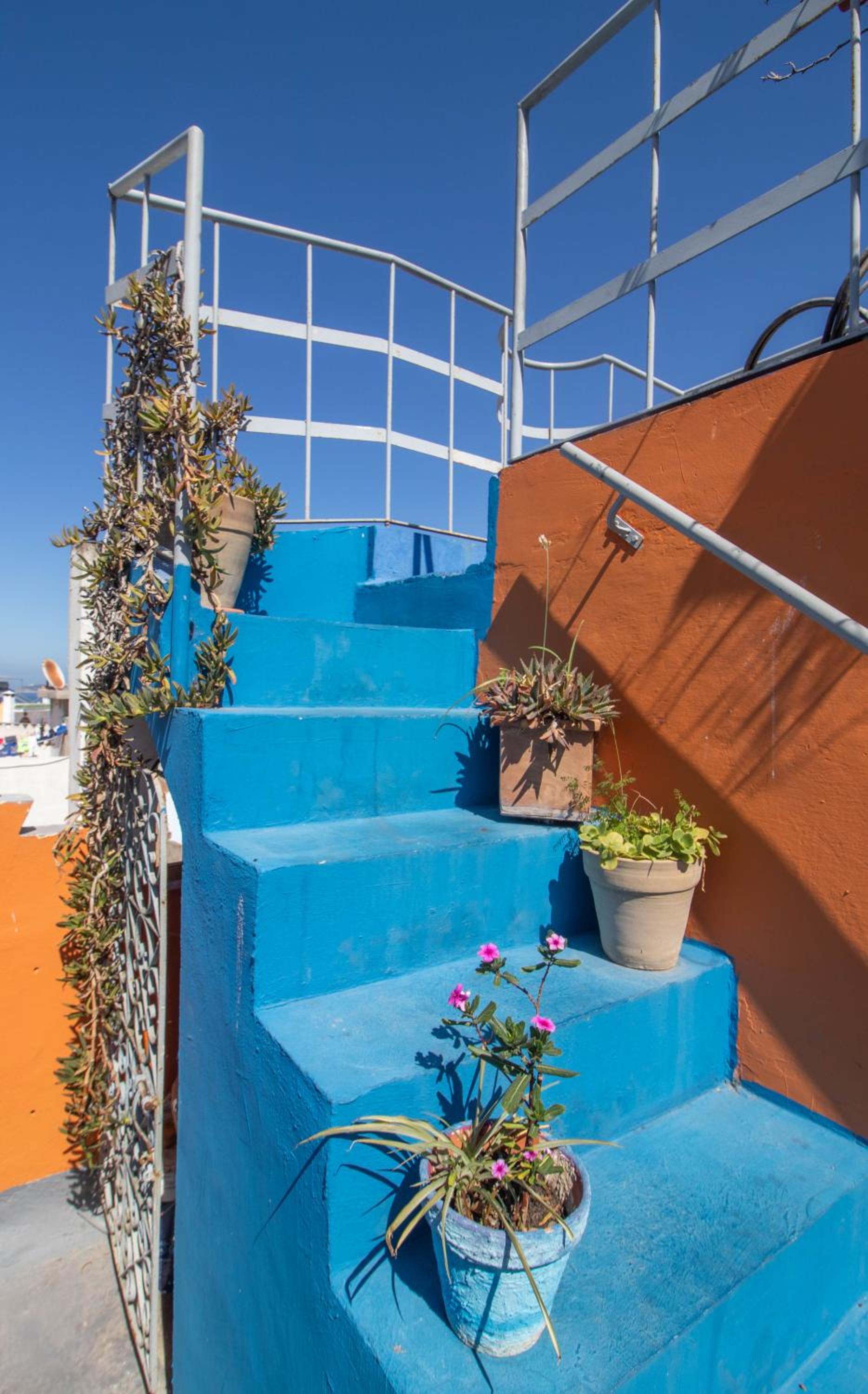 Bayt Alice Hostel