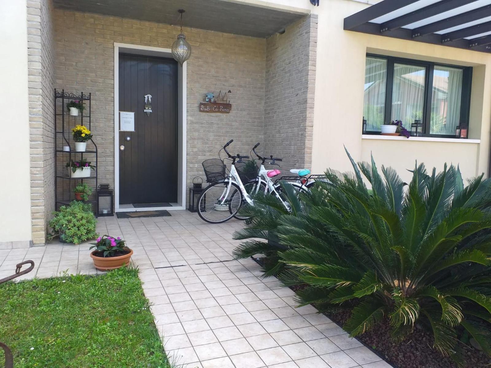 Photo 39
