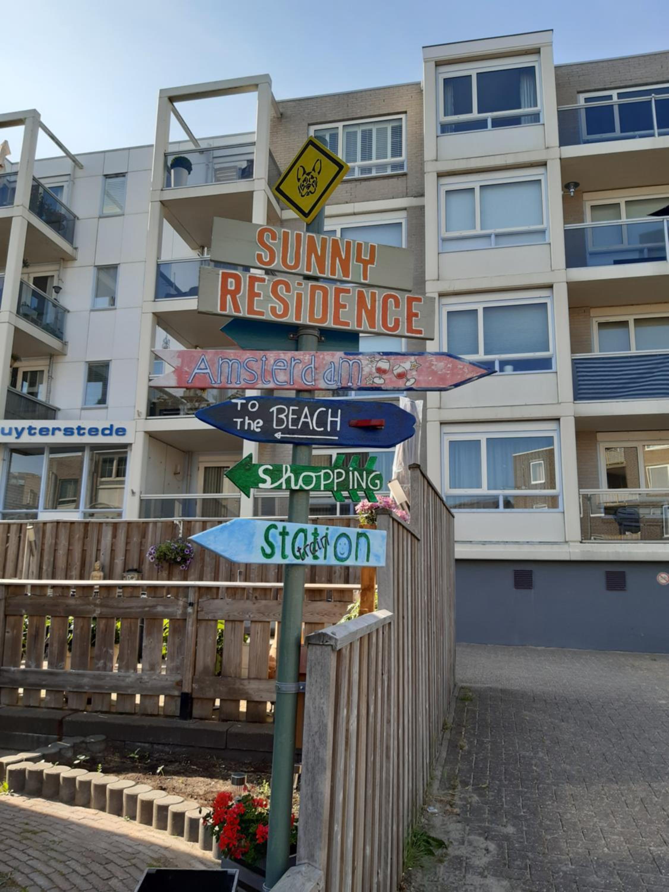Photo 12
